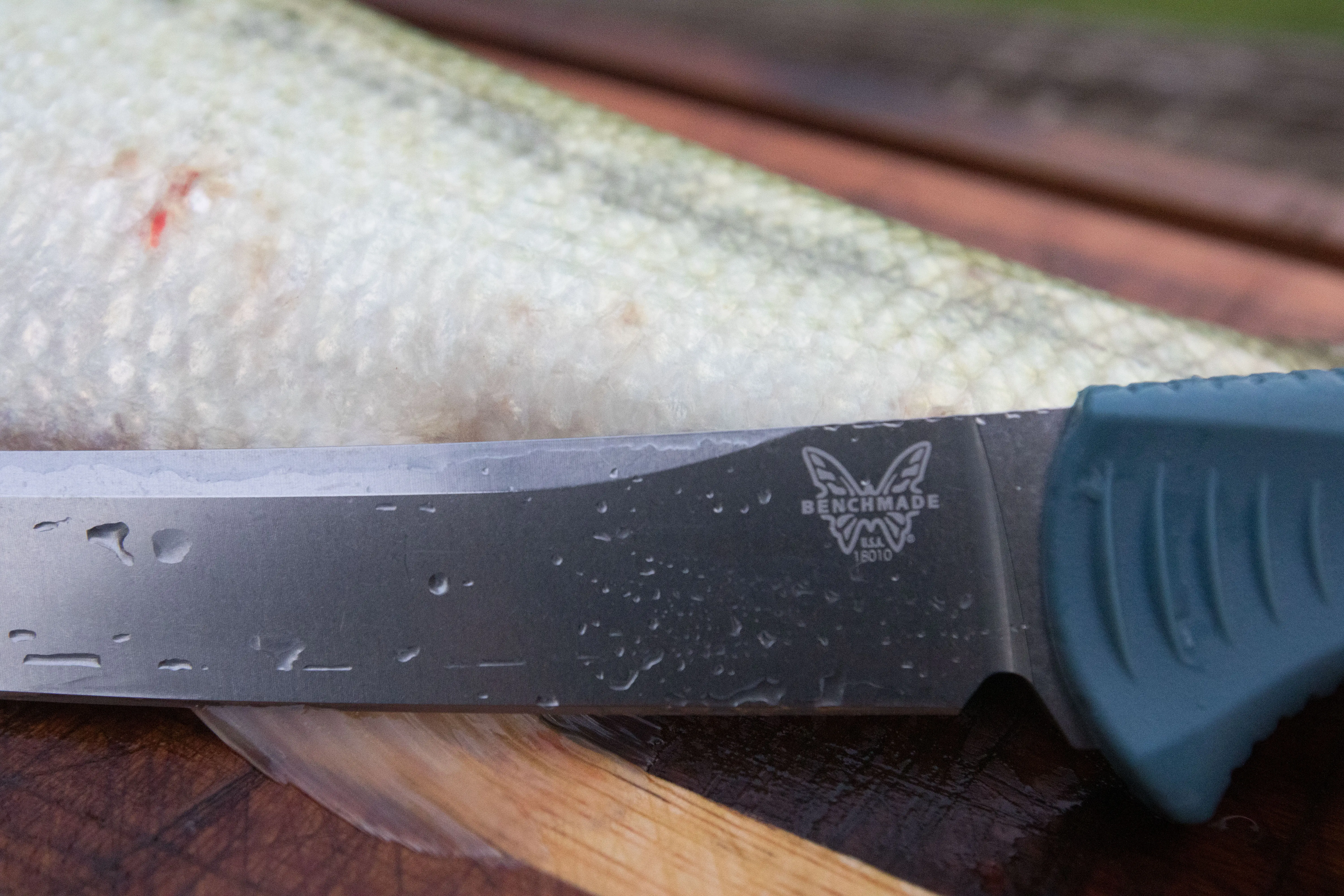 The Benchmade Fishcrafter next to a fish