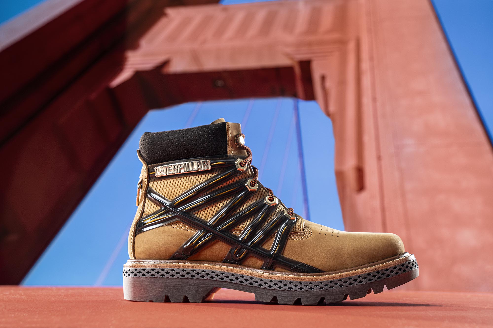 CAT- Golden Gate Bridge 2