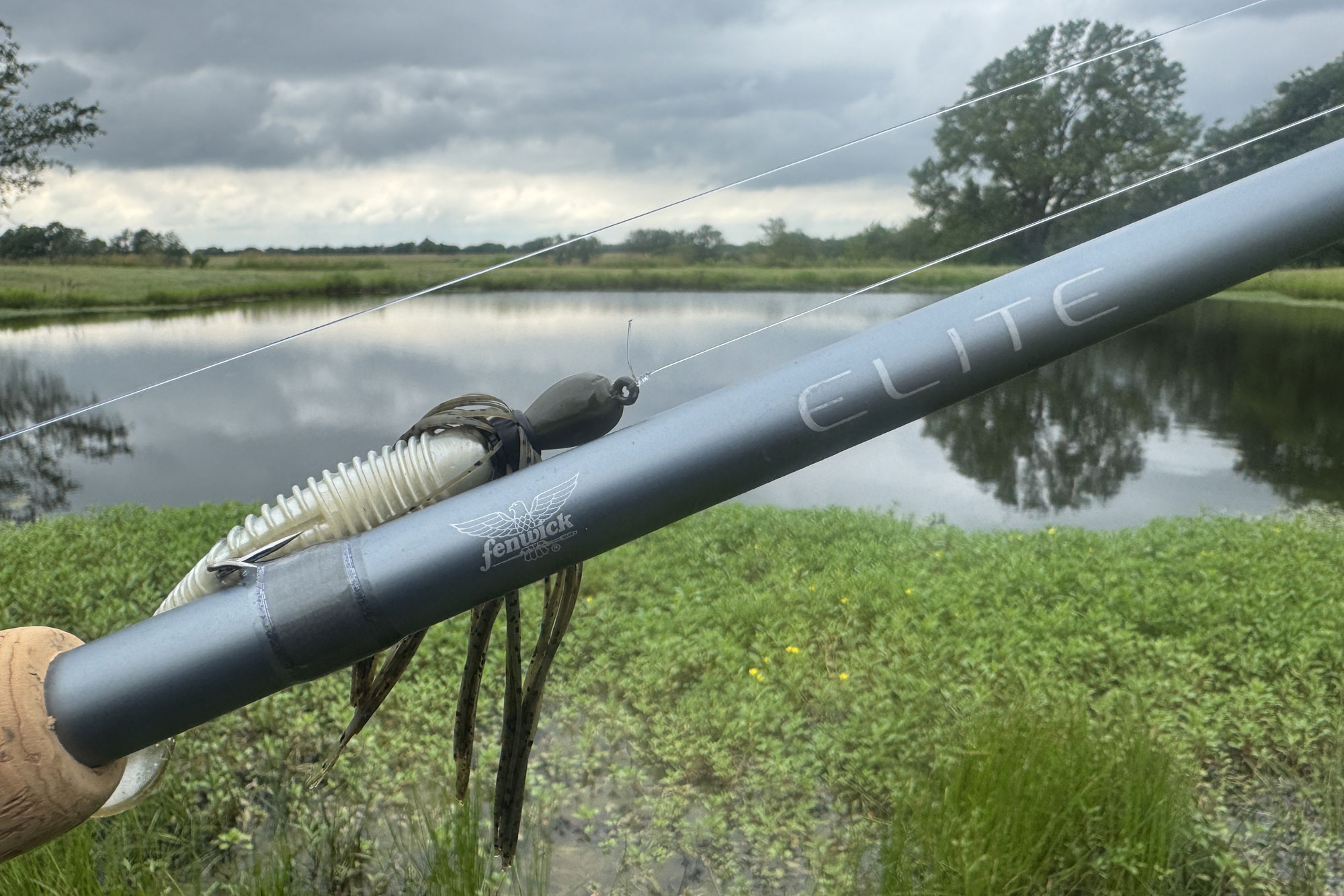 Fenwick Elite Bass Casting Rod closeup