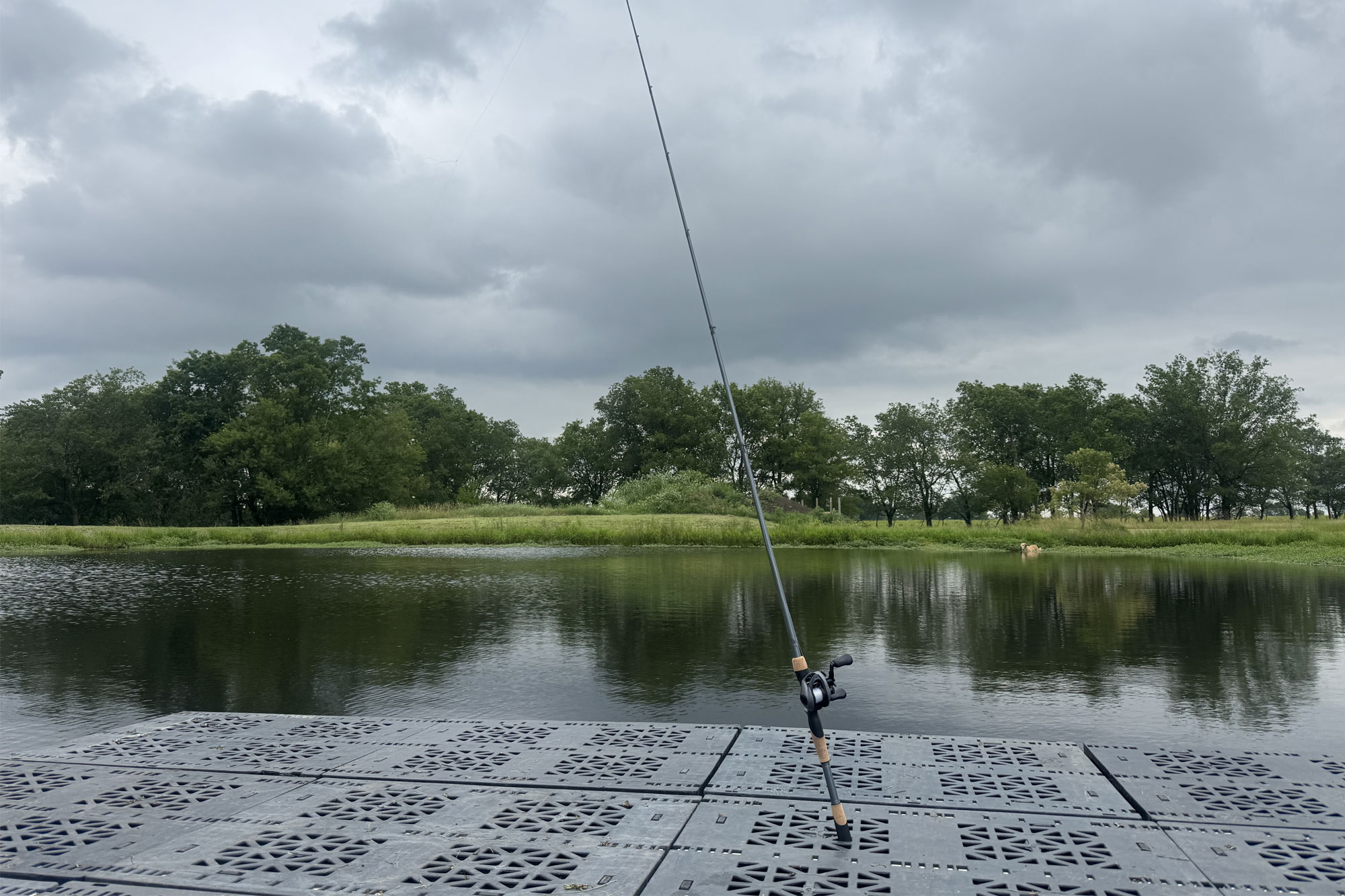Fenwick Elite Bass Casting Rod next to a lake