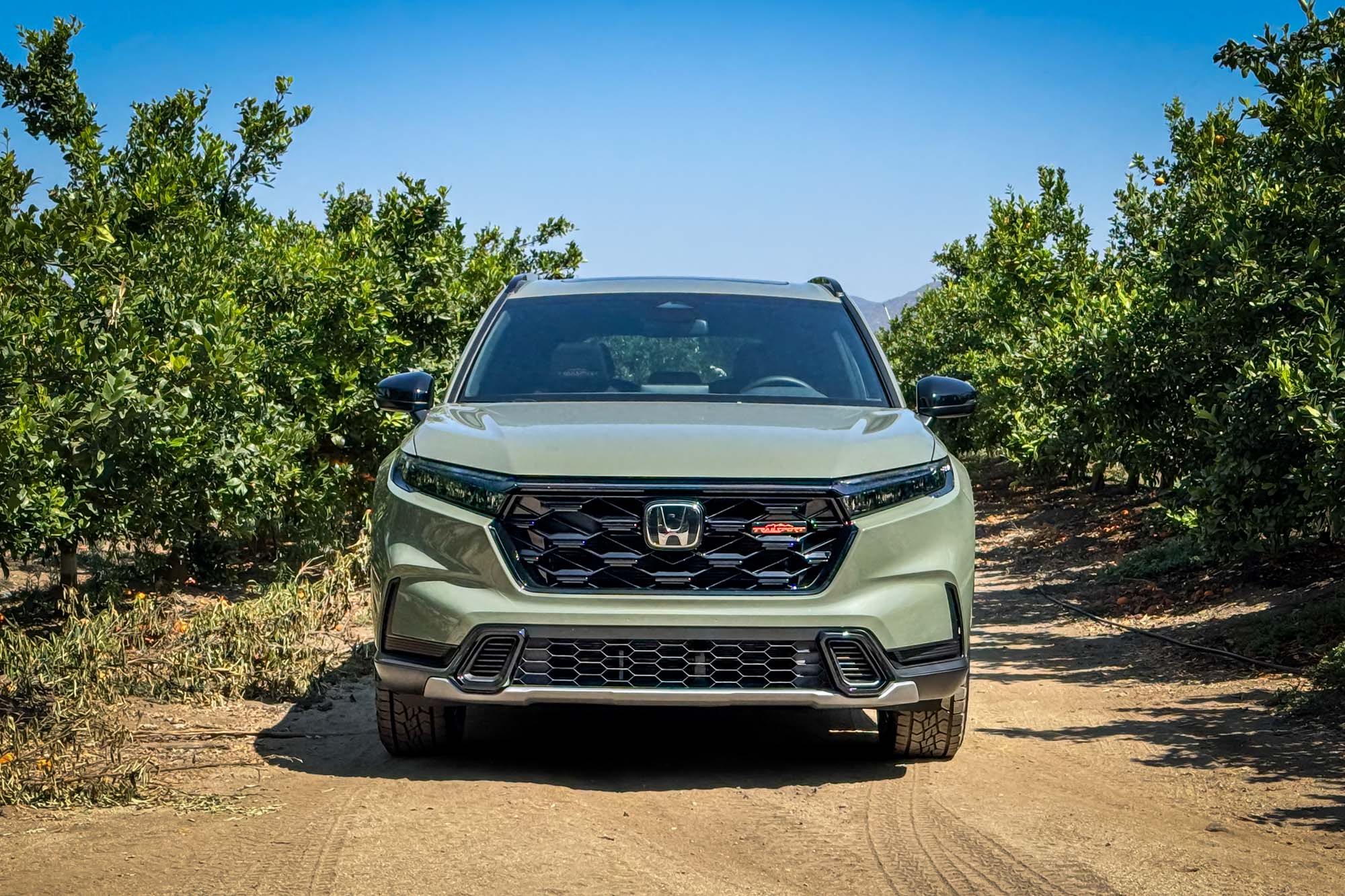 2026 Honda Passport Trailsport