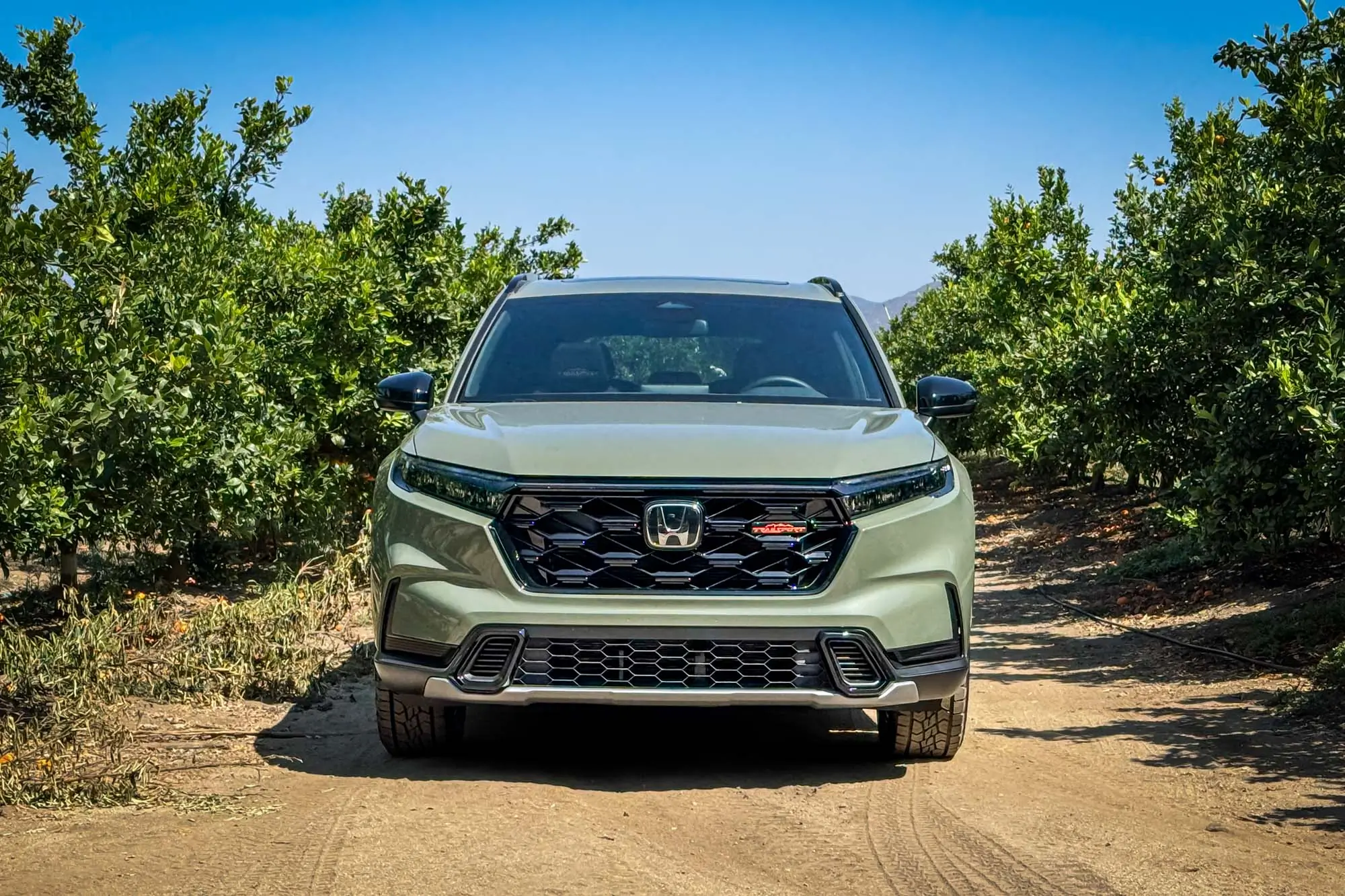 2026 Honda Passport Trailsport