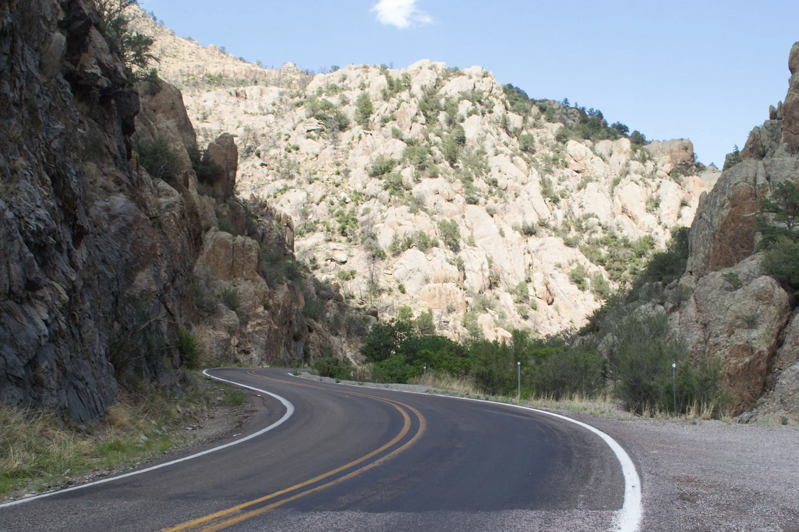 Gila National Forest