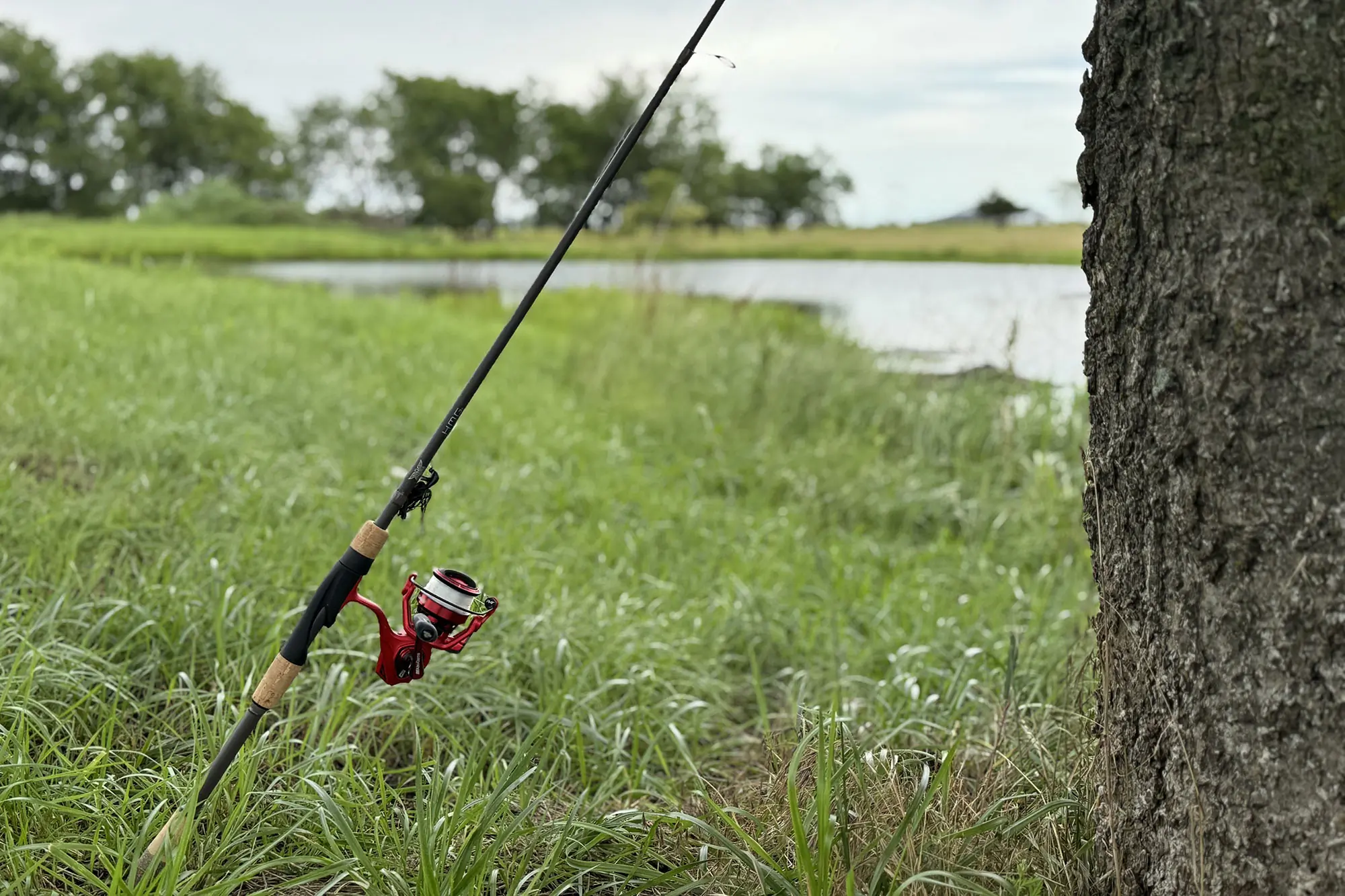 Abu Garcia Revo Rocket