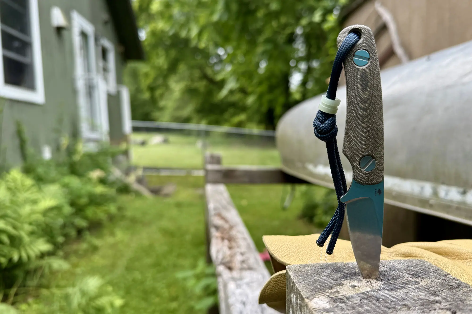 Knafs Little Lulu in a tree trunk