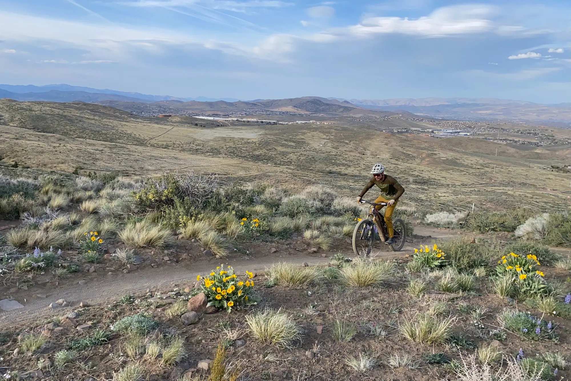 Climbing up a hill on the Turbo Levo 4 with some spring flower in the foreground