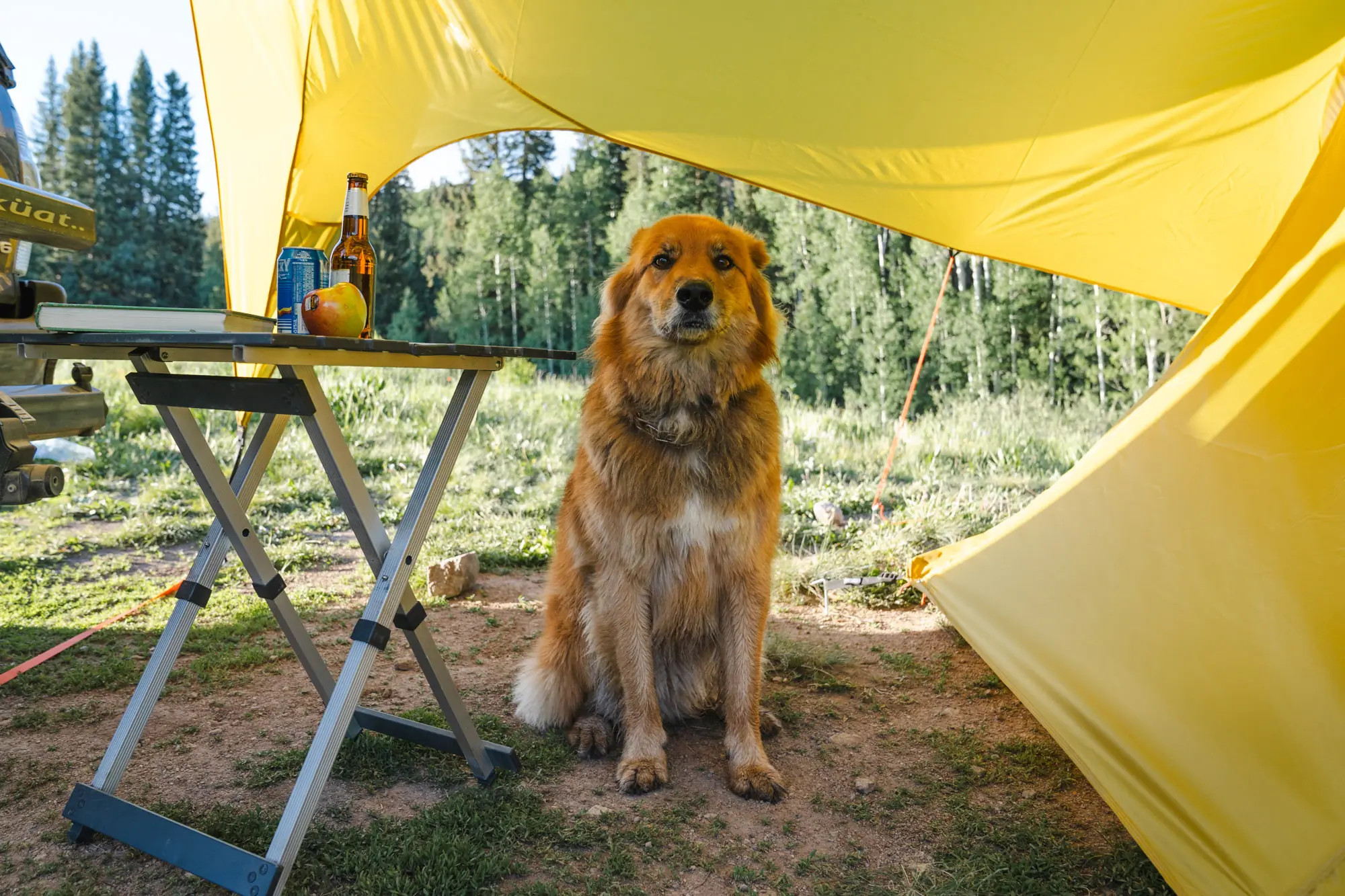 a dog sits beneath the shade of the base camp vehicle connector in a colorado camp site