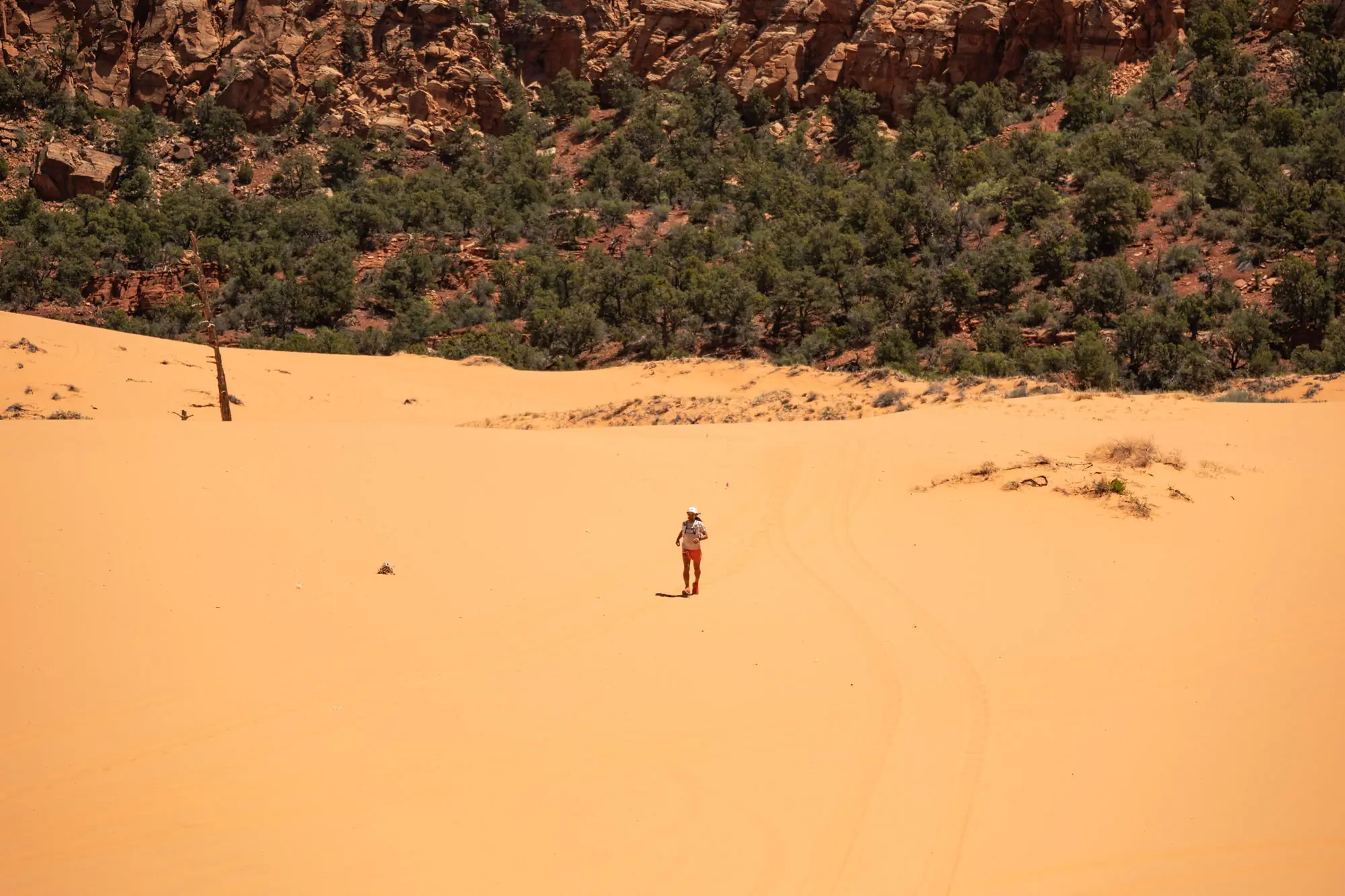 running throught the desert