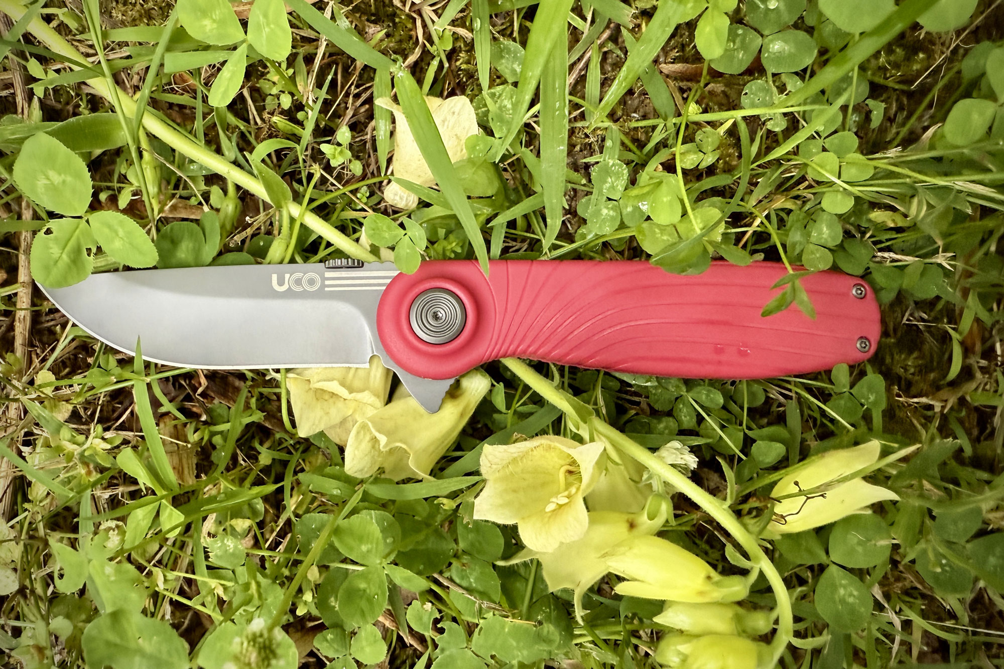 UCO Whidbey Pushfold in the grass