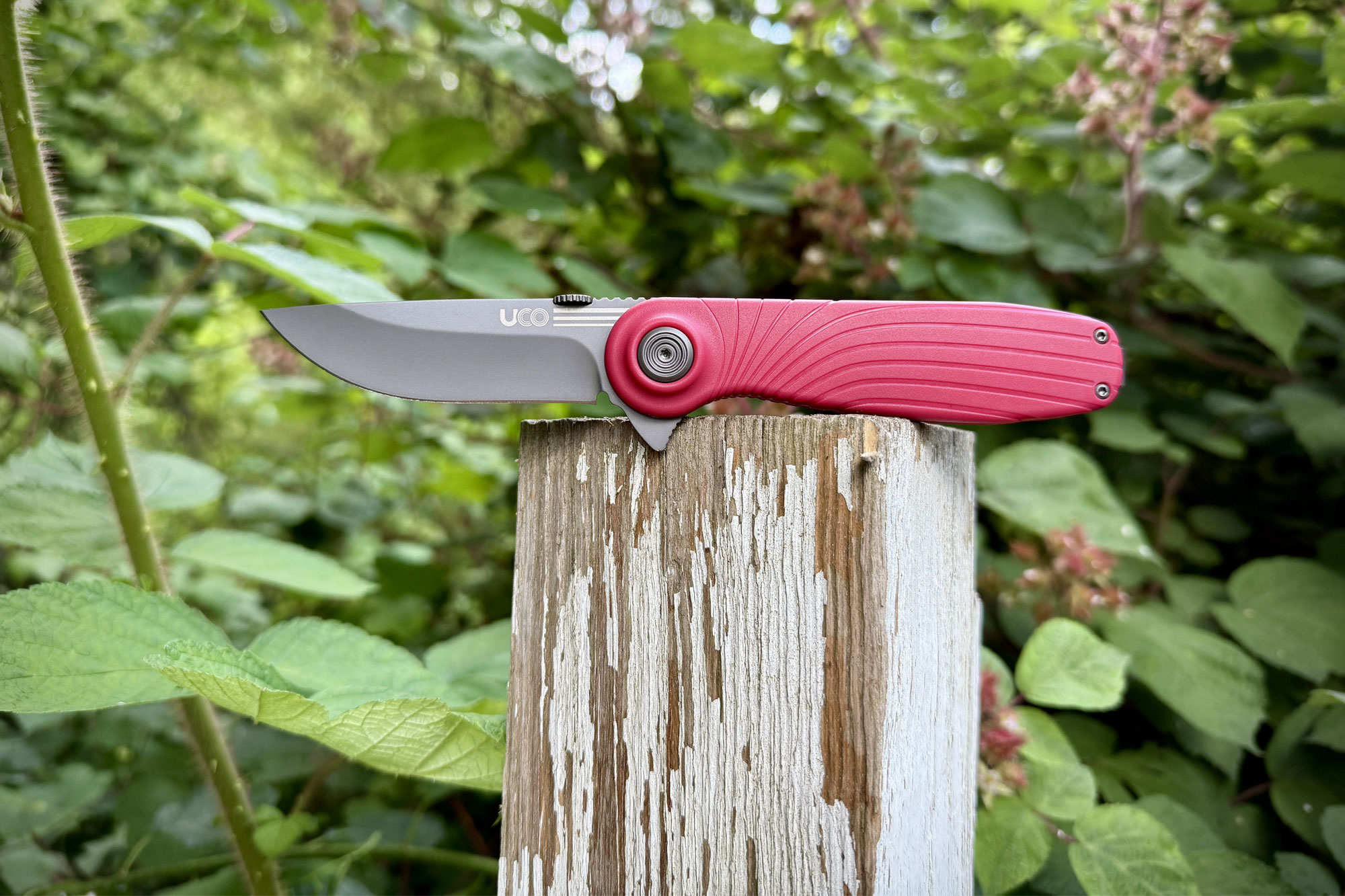 UCO Whidbey Pushfold on a tree