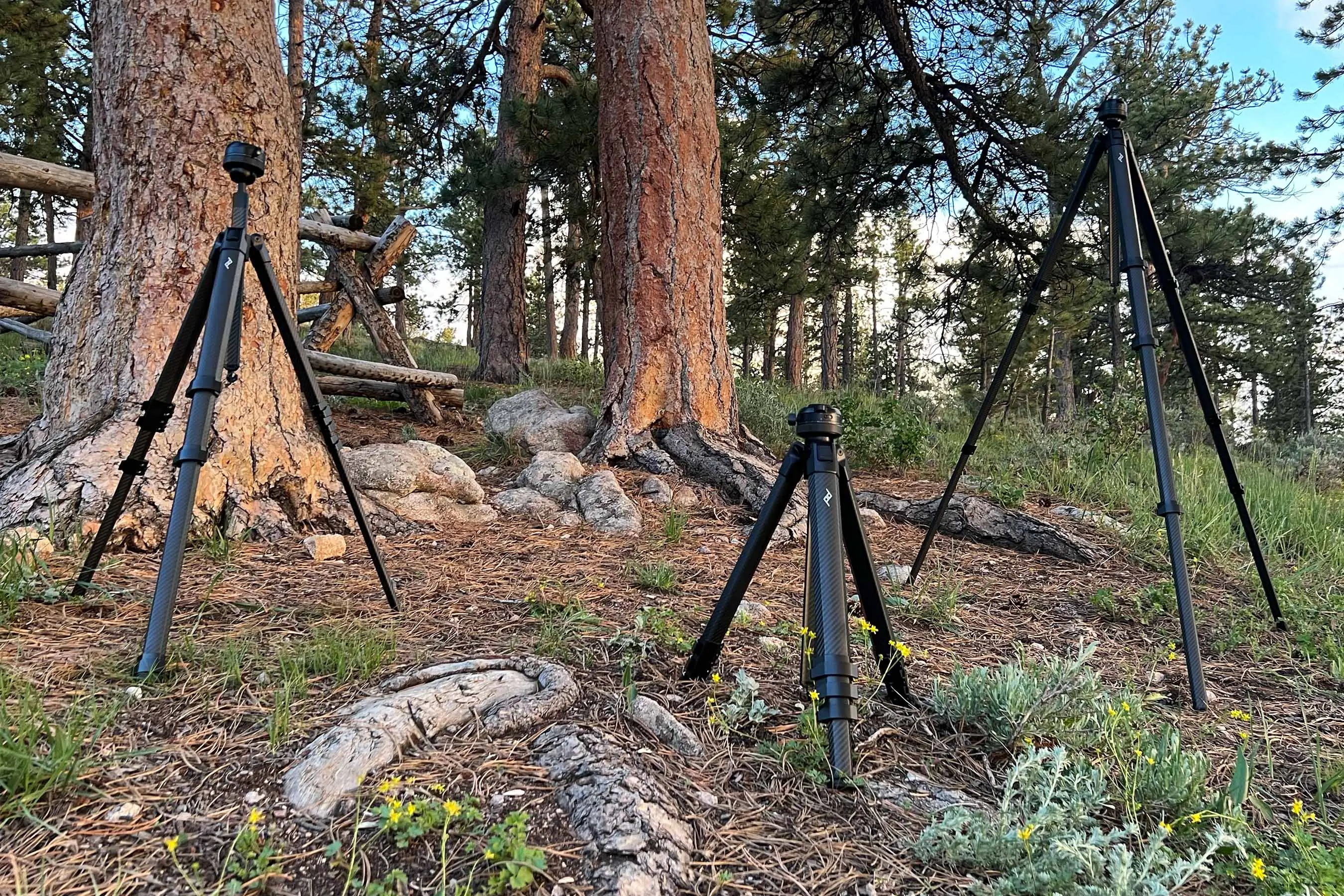 PeakDesign Pro Tripod review