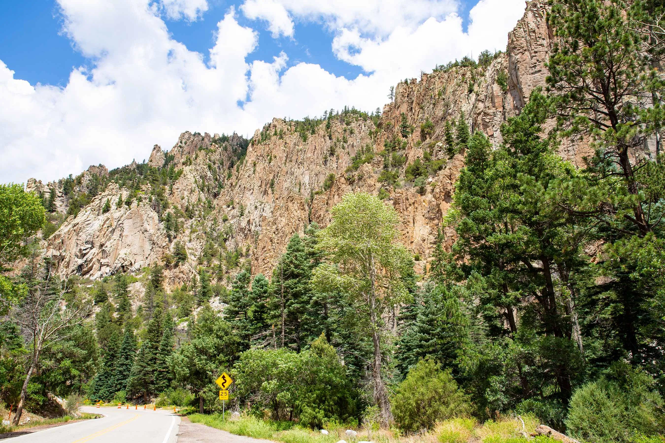 Cimarron Canyon State Park New Mexico