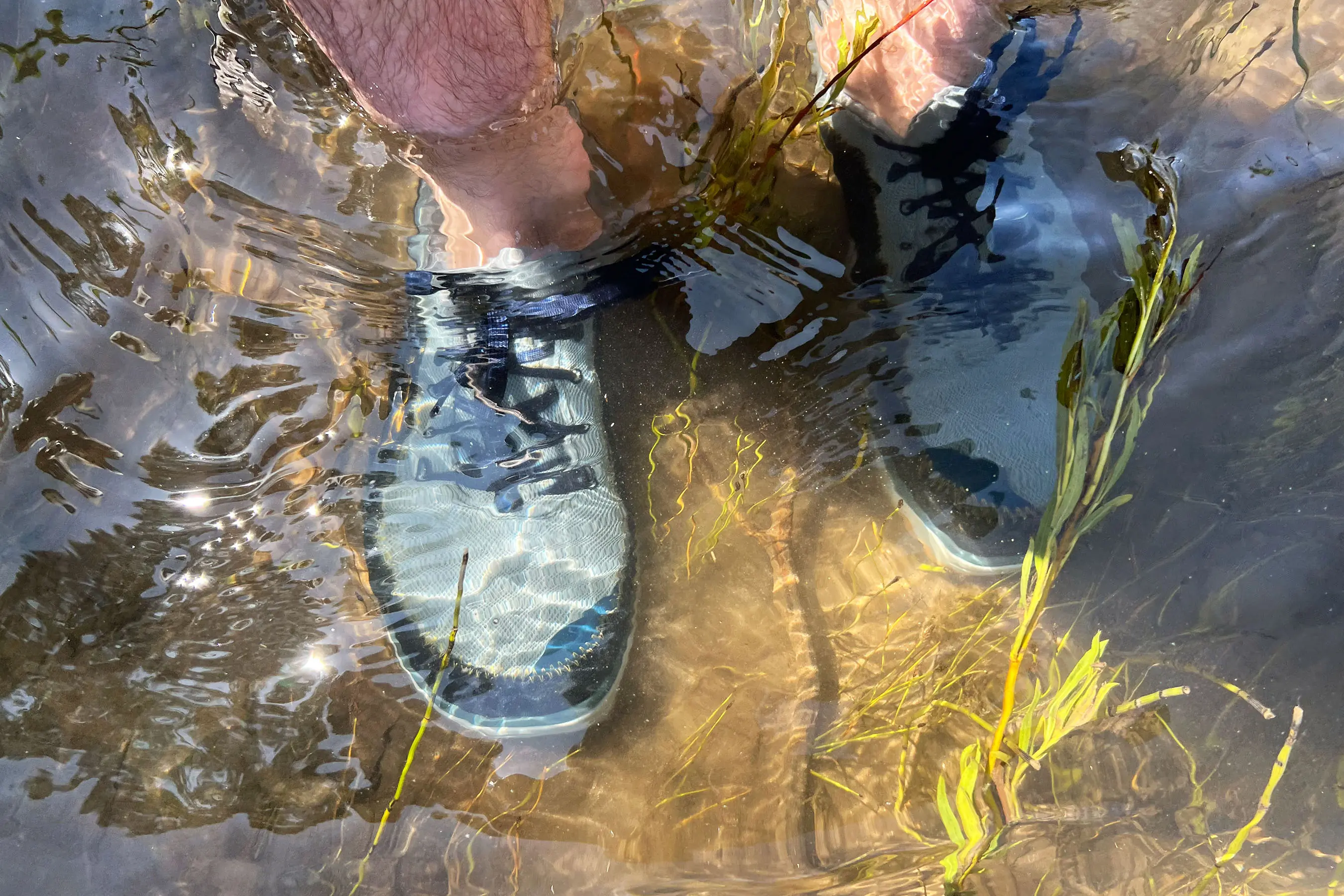 water shoe review