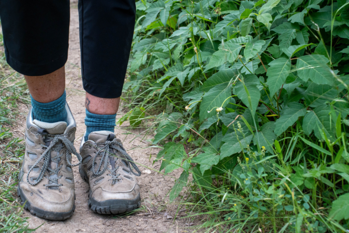 Vuori Miles Ankle pants