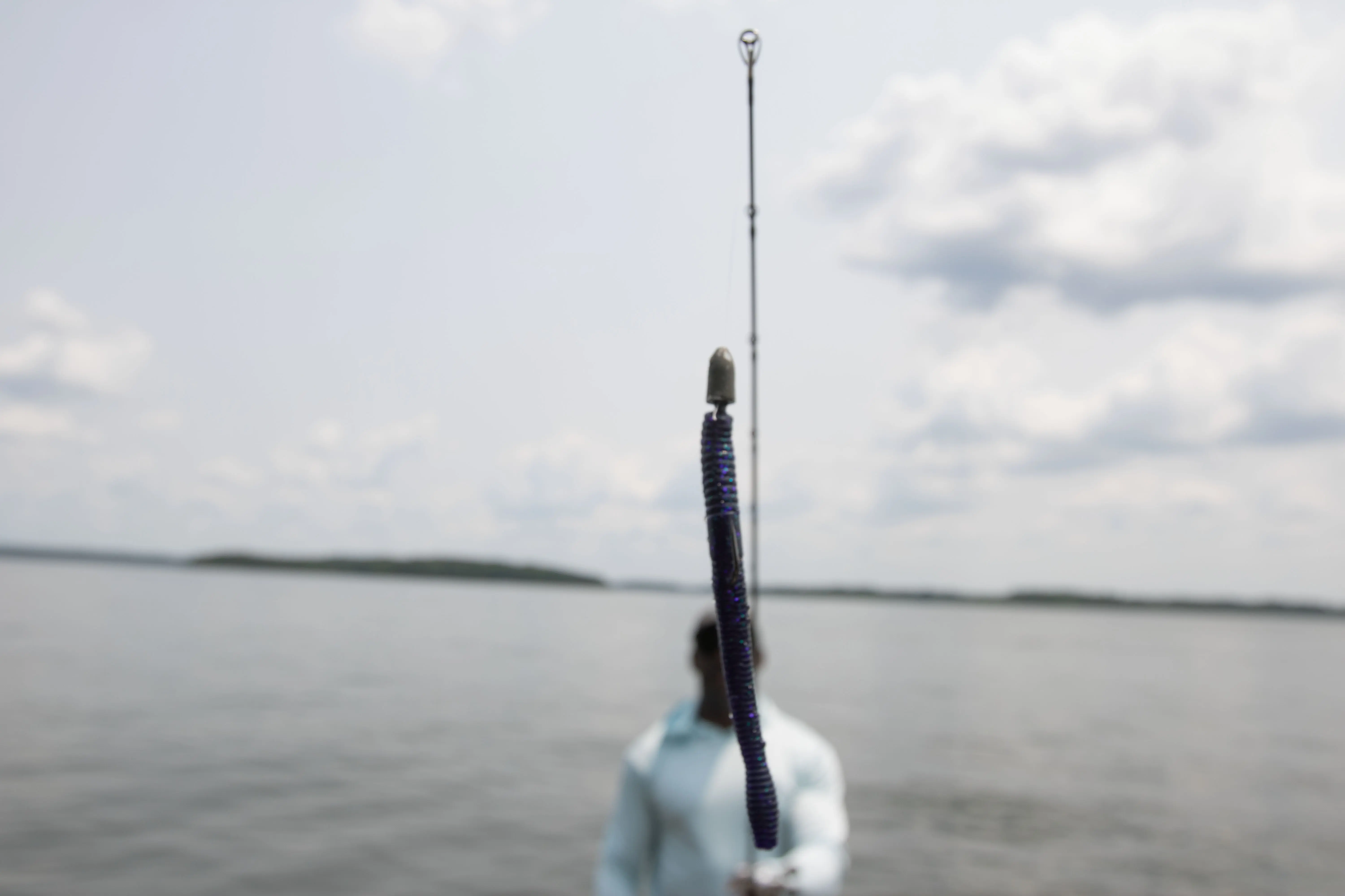 A texas rigged worm dangling from a fishing rod.