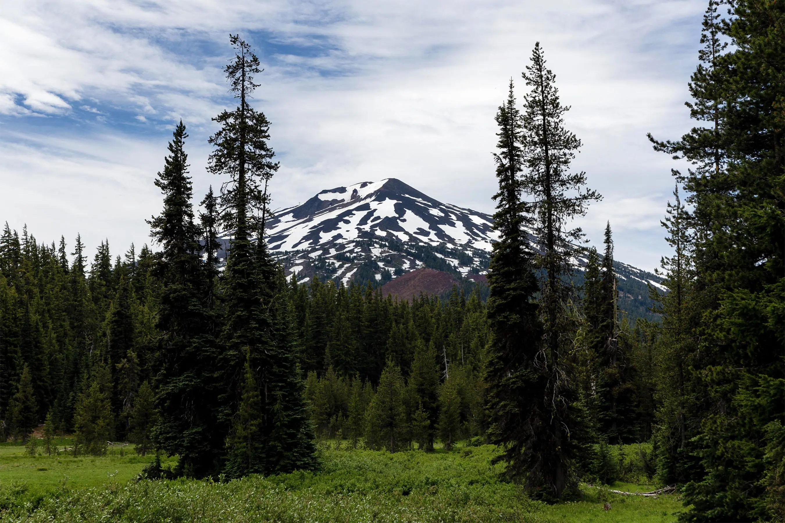 public land sell off