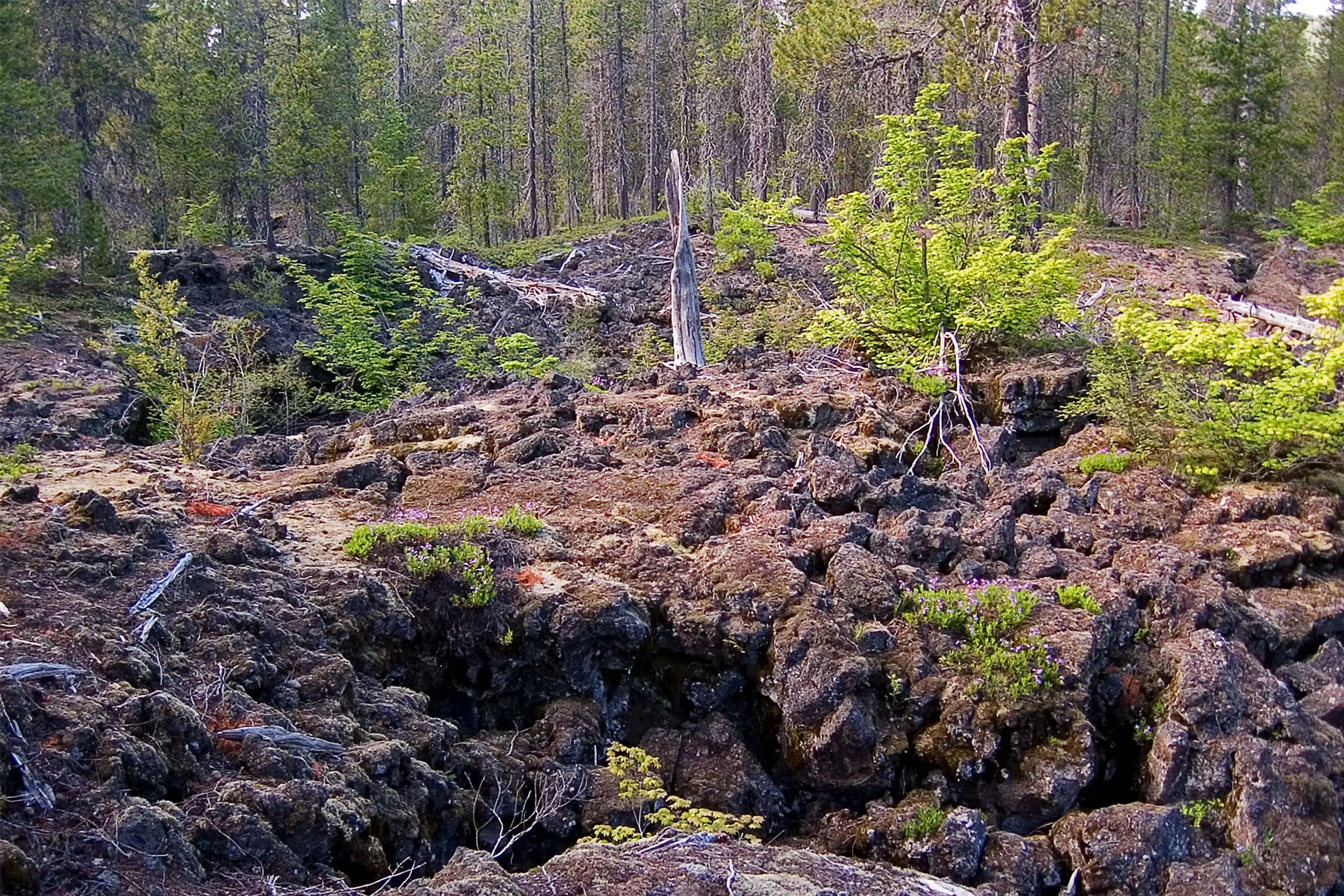 public lands sell off