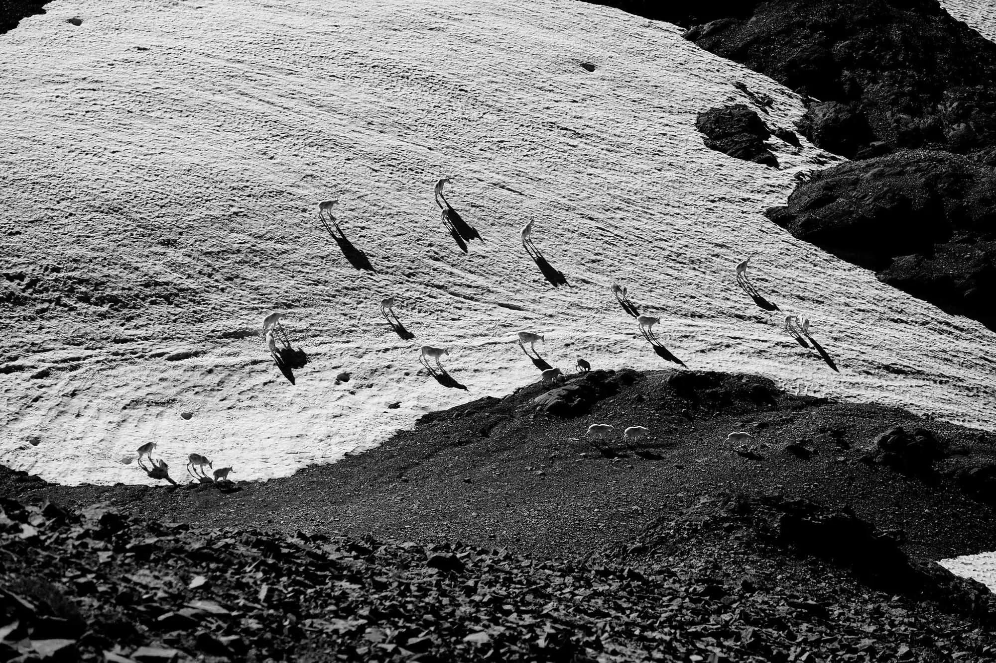 elizabeth rudischer photo contest PCT