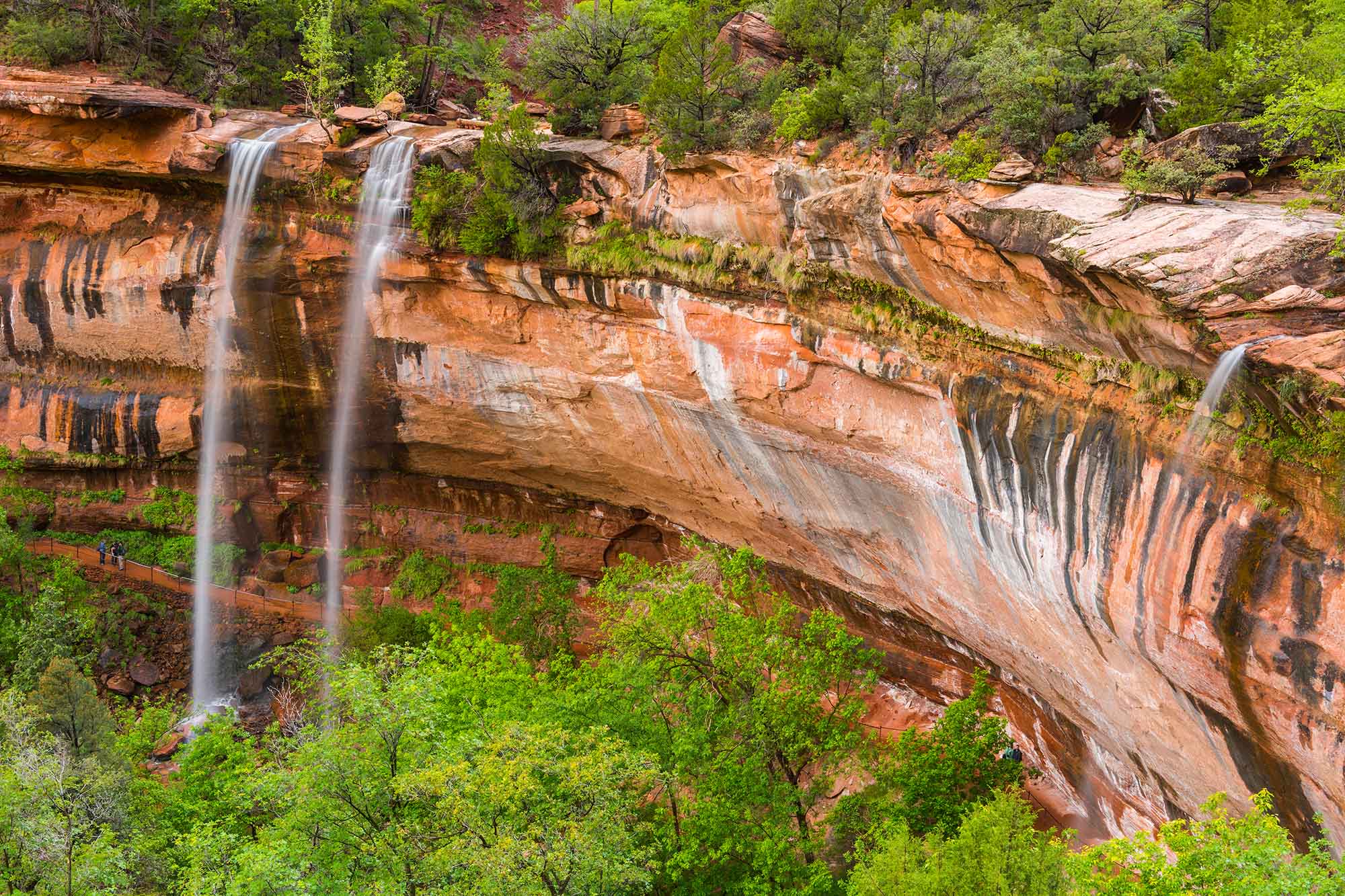 Falls,At,The,Lower,Emerald,Pool,In,Zion,National,Park,