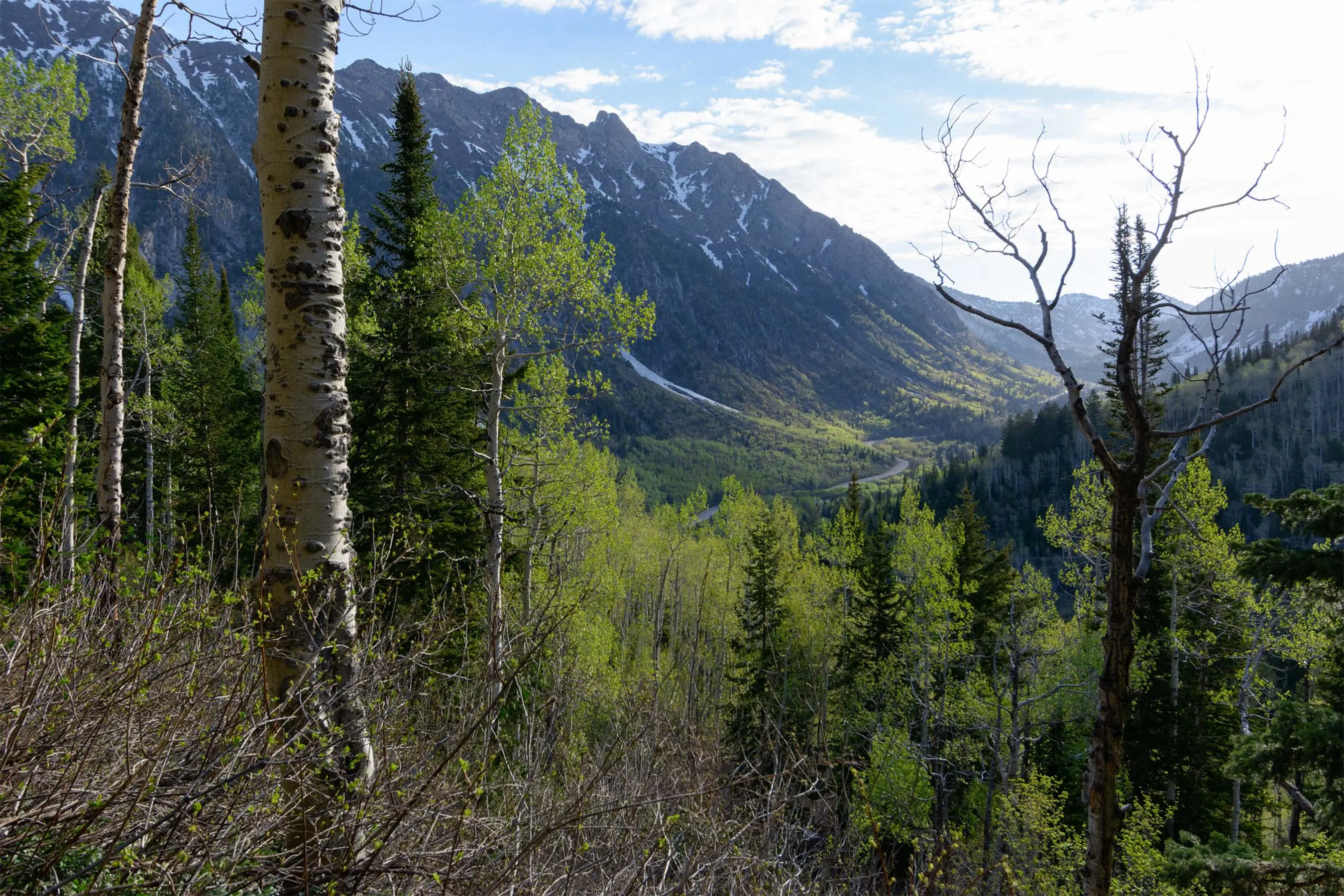 public lands sell off