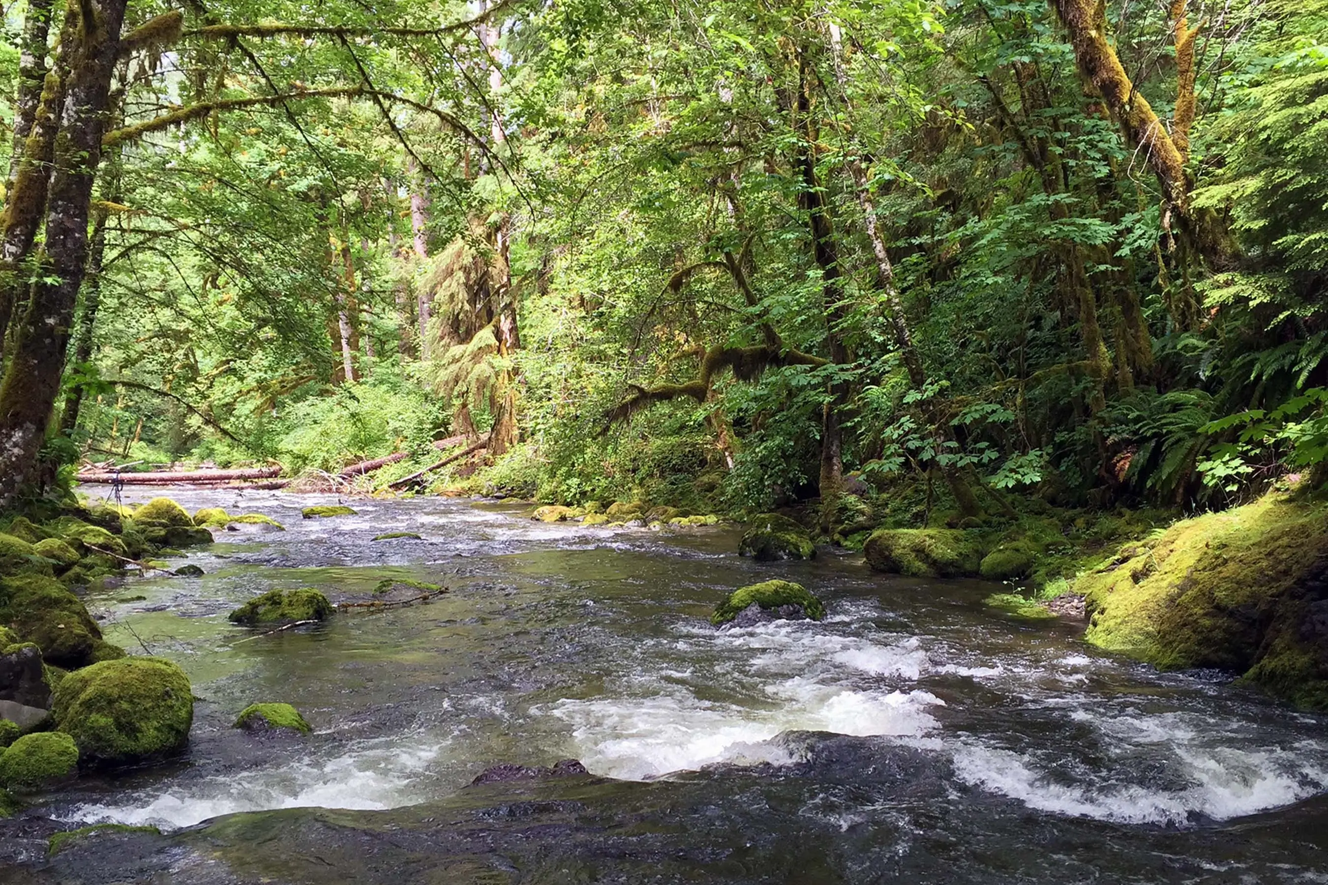 public lands sell off