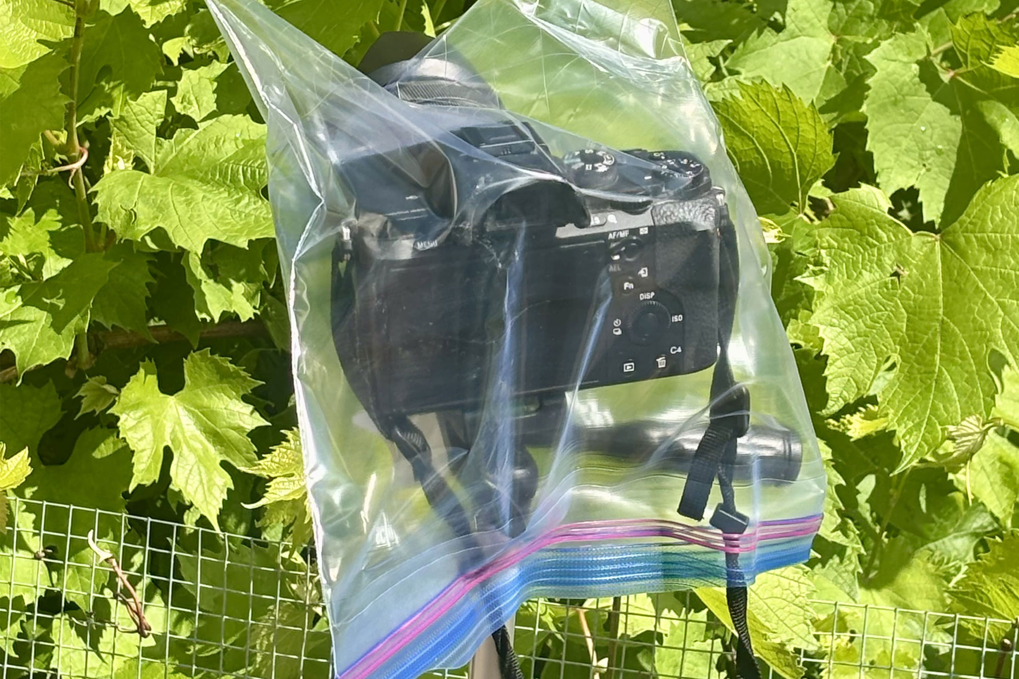 a camera in a plastic bag