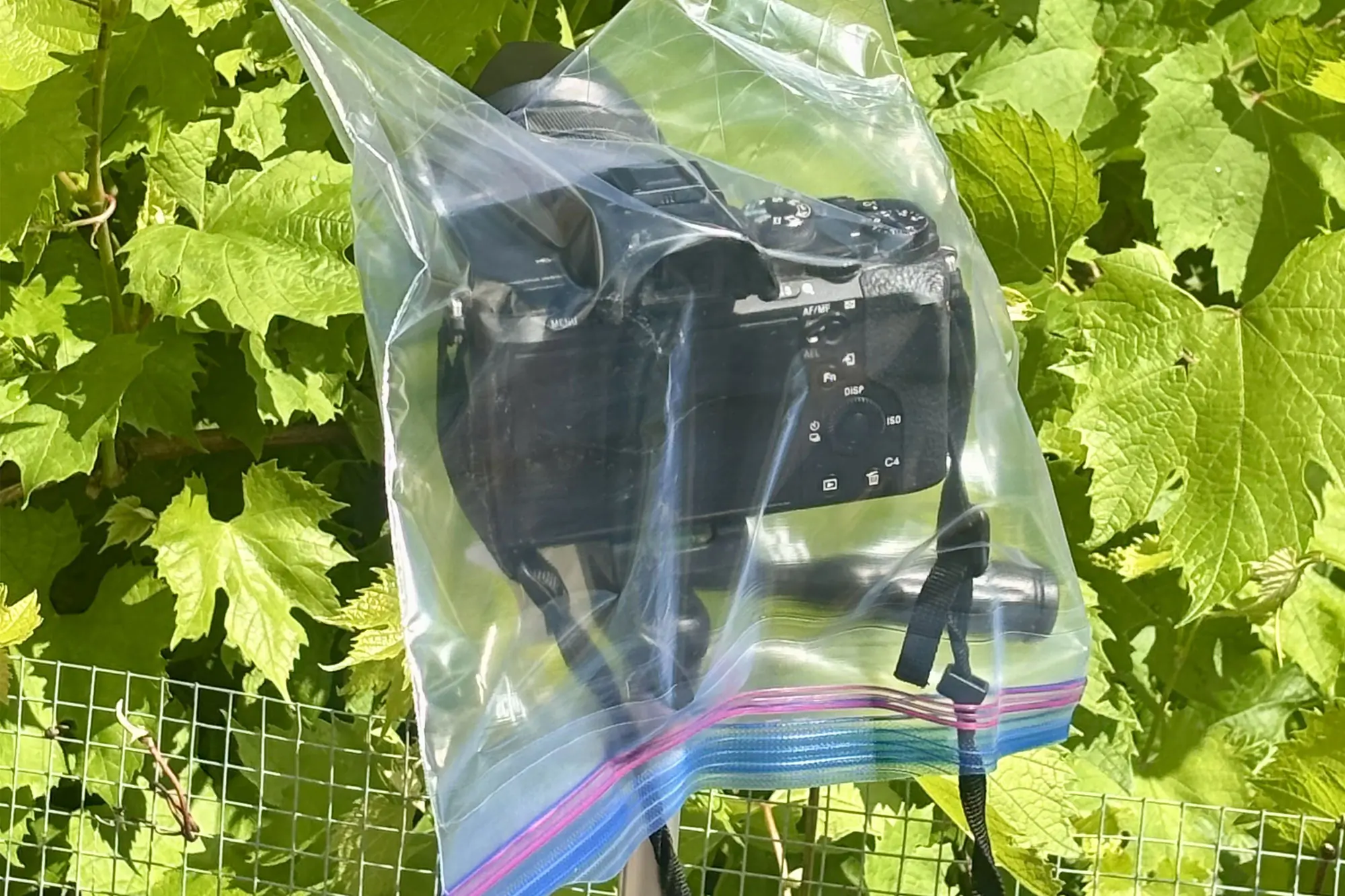a camera in a plastic bag