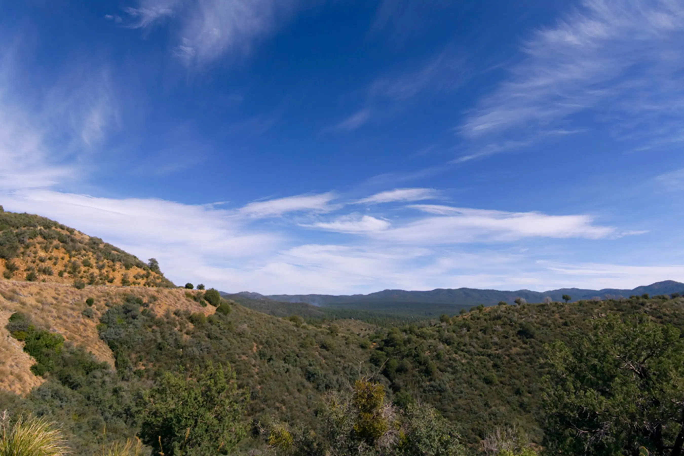 public land sell off