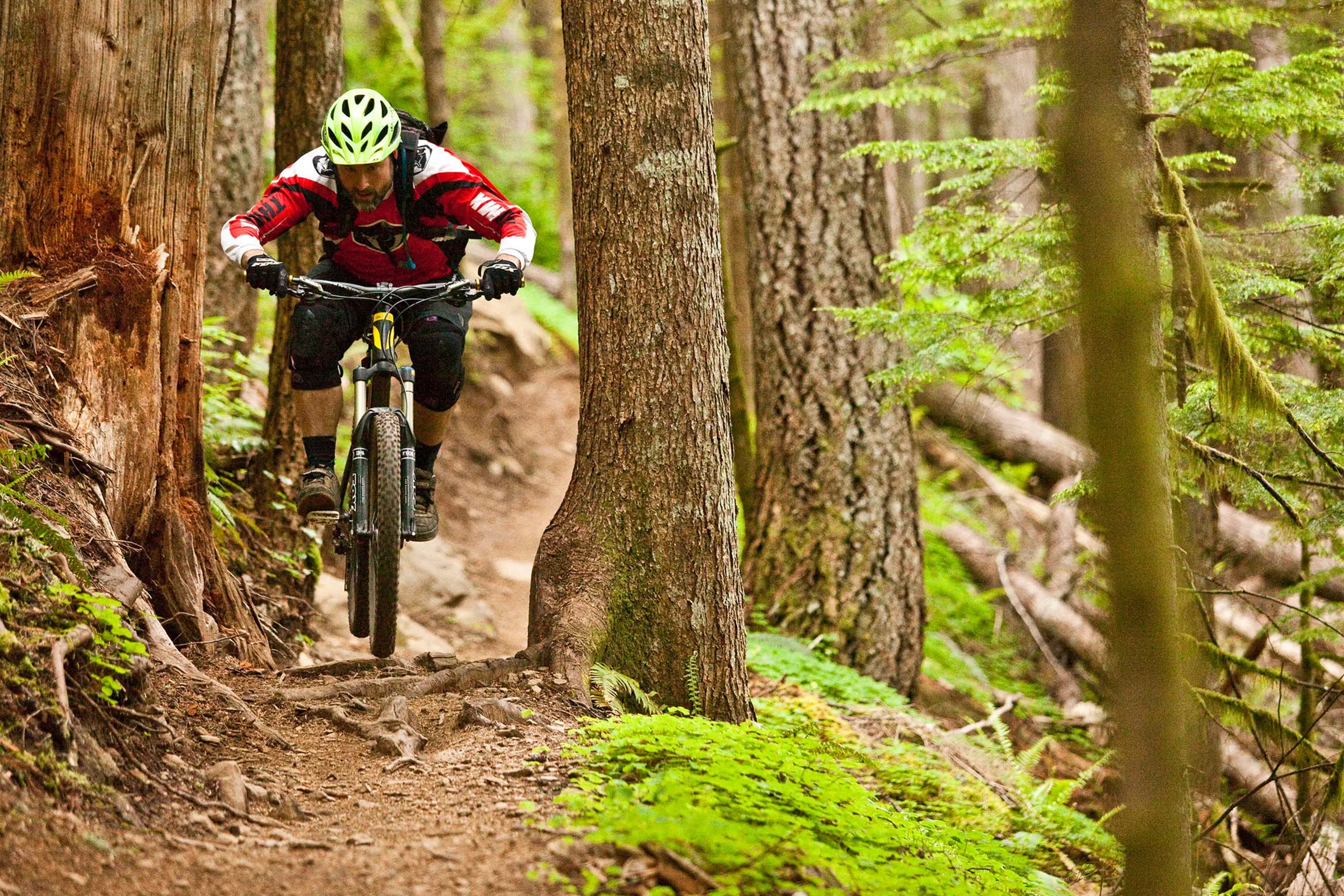 public land sell off