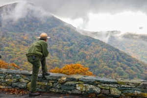 Shenandoah,National,Park,In,Autumn,Foliage,,Virginia,Usa