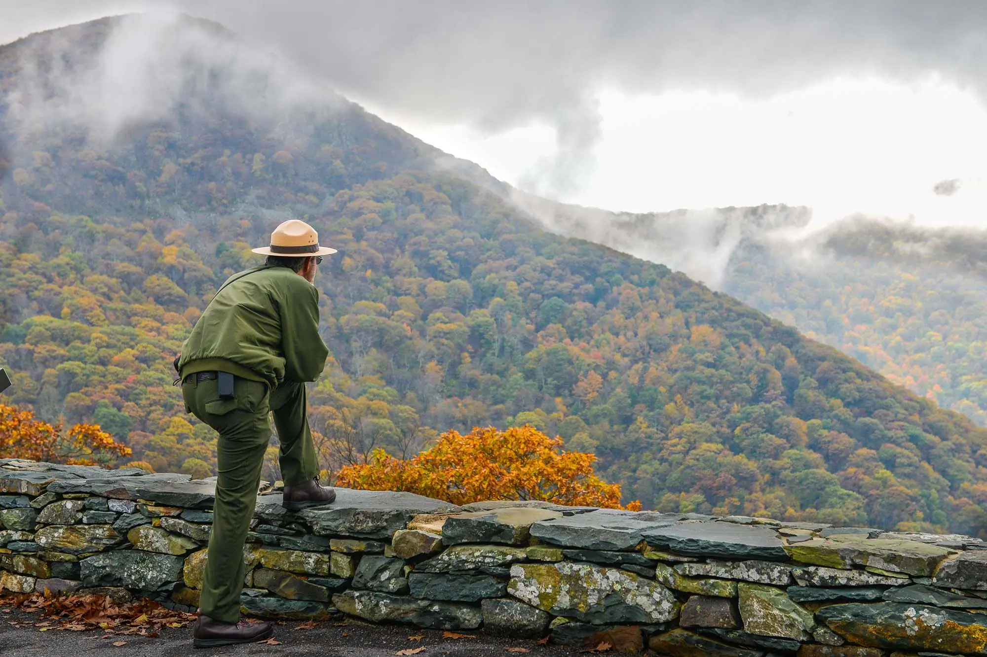 Shenandoah,National,Park,In,Autumn,Foliage,,Virginia,Usa