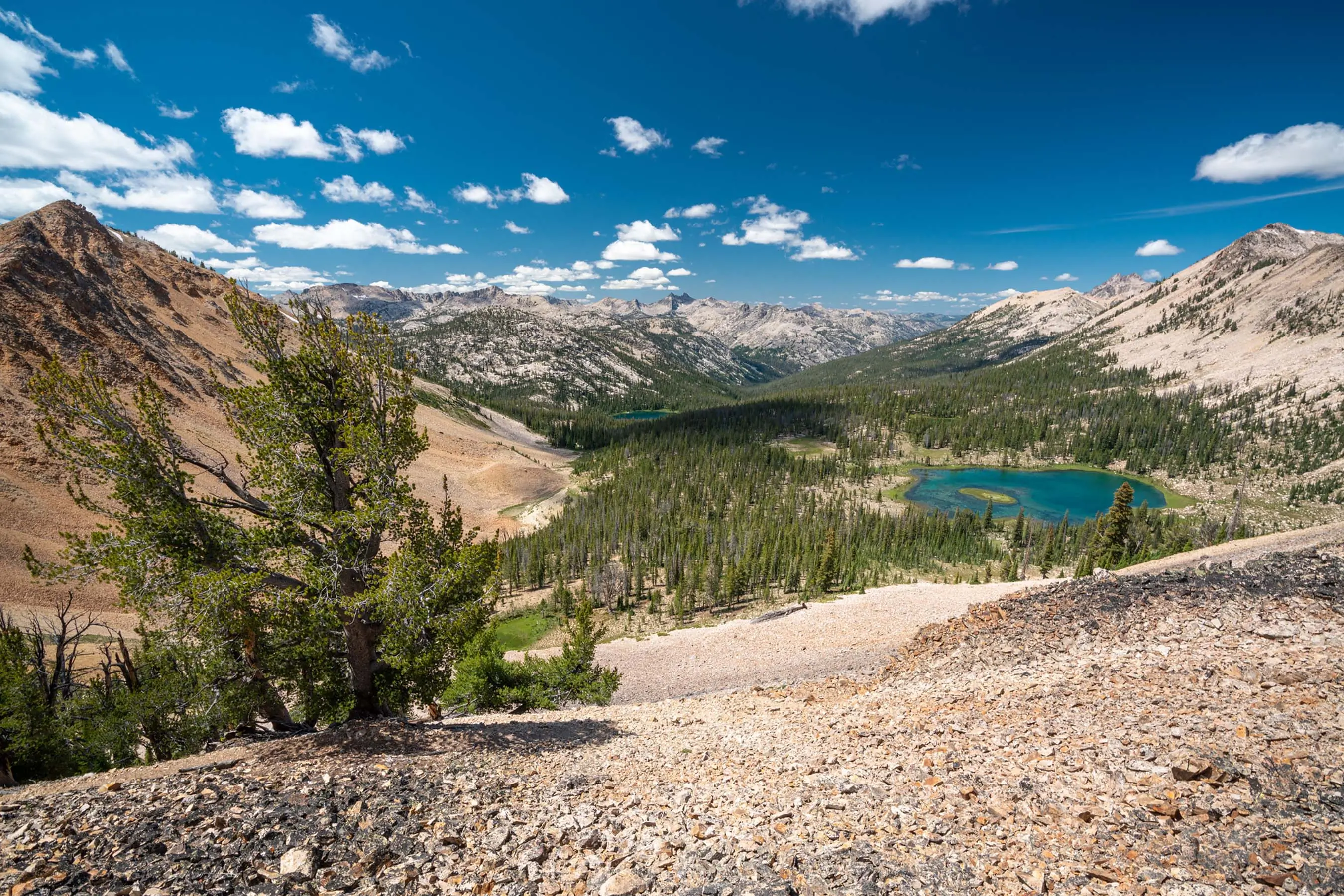 public lands sell off