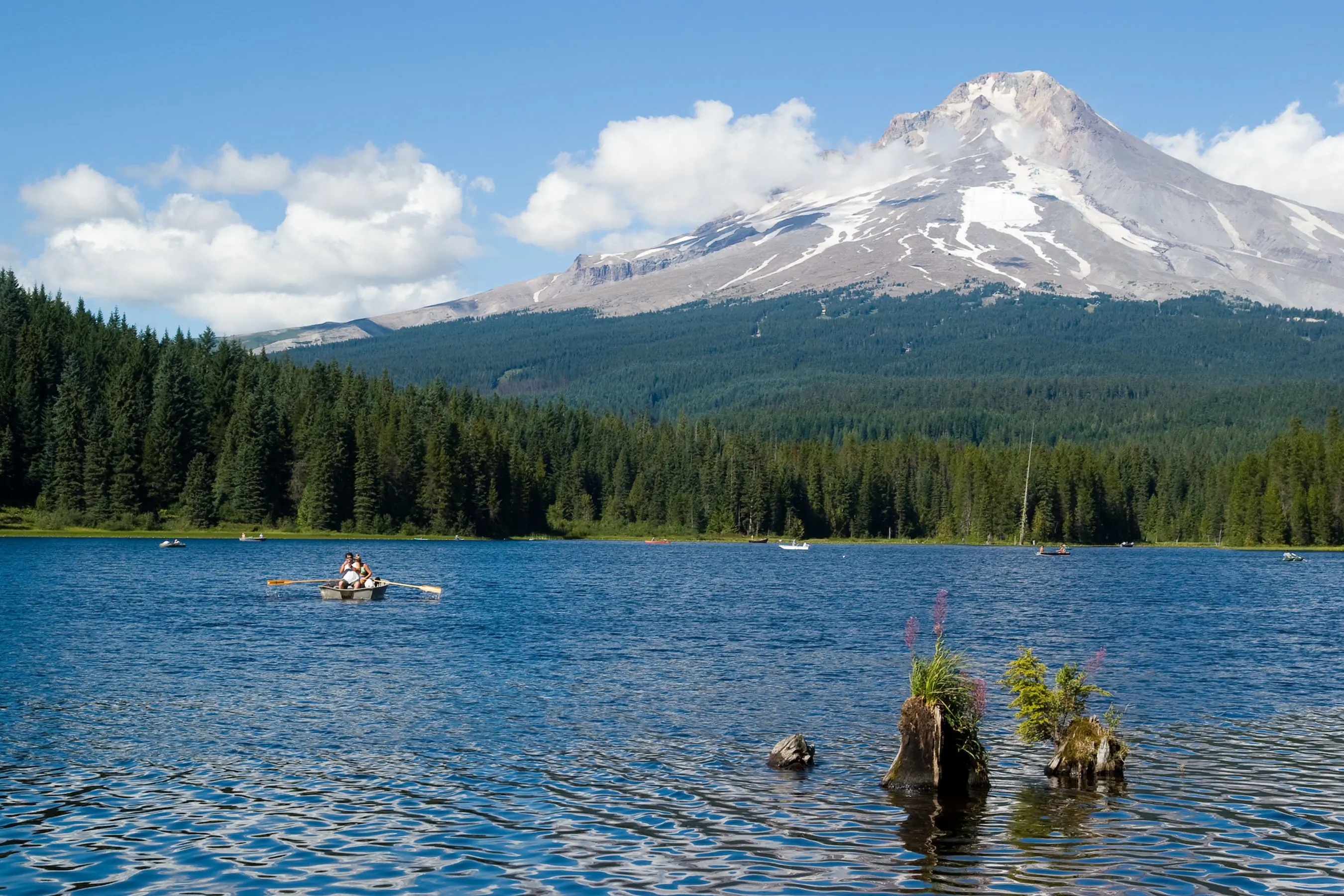 public land sell off