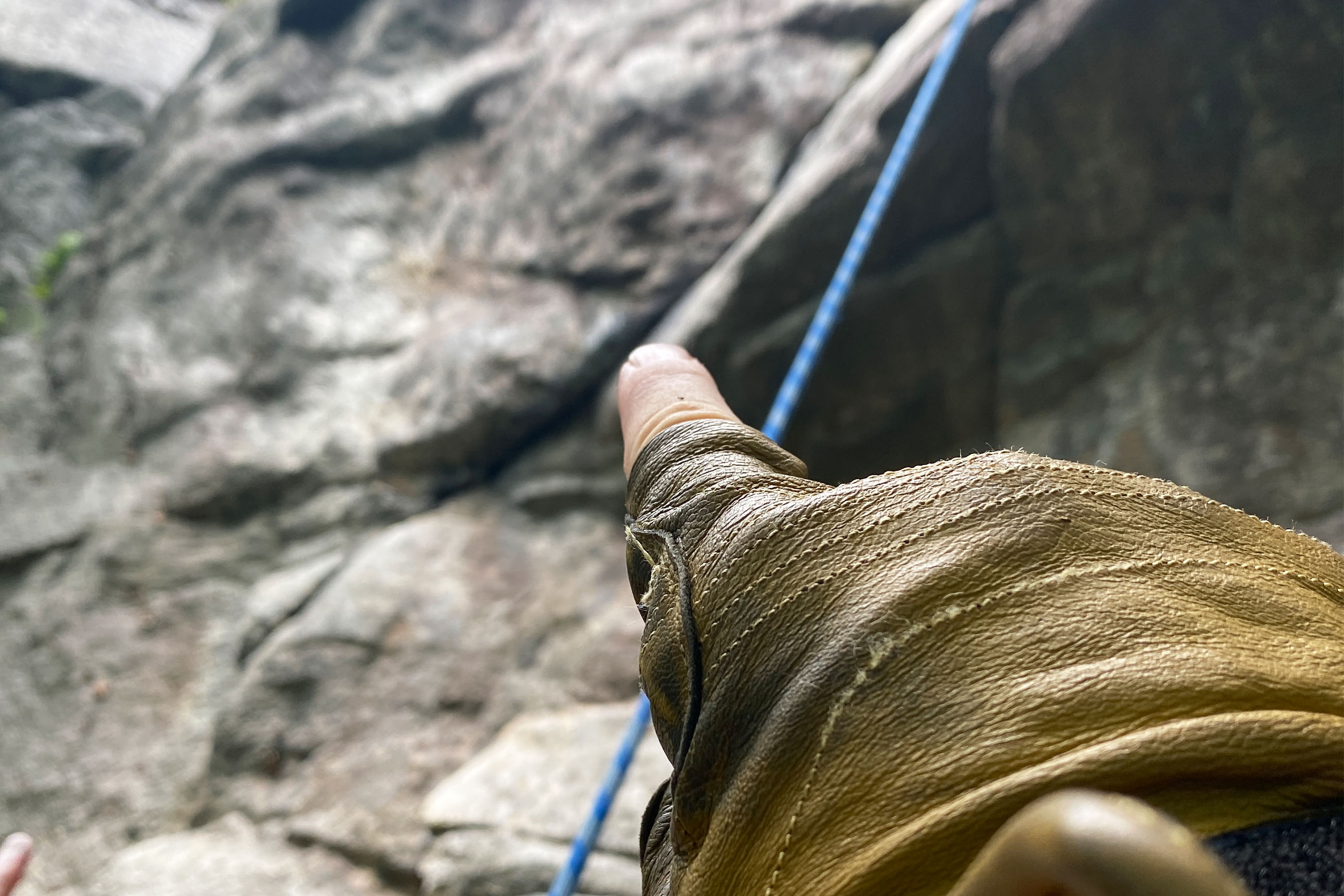 Climbers for bat conservation white nose syndrome