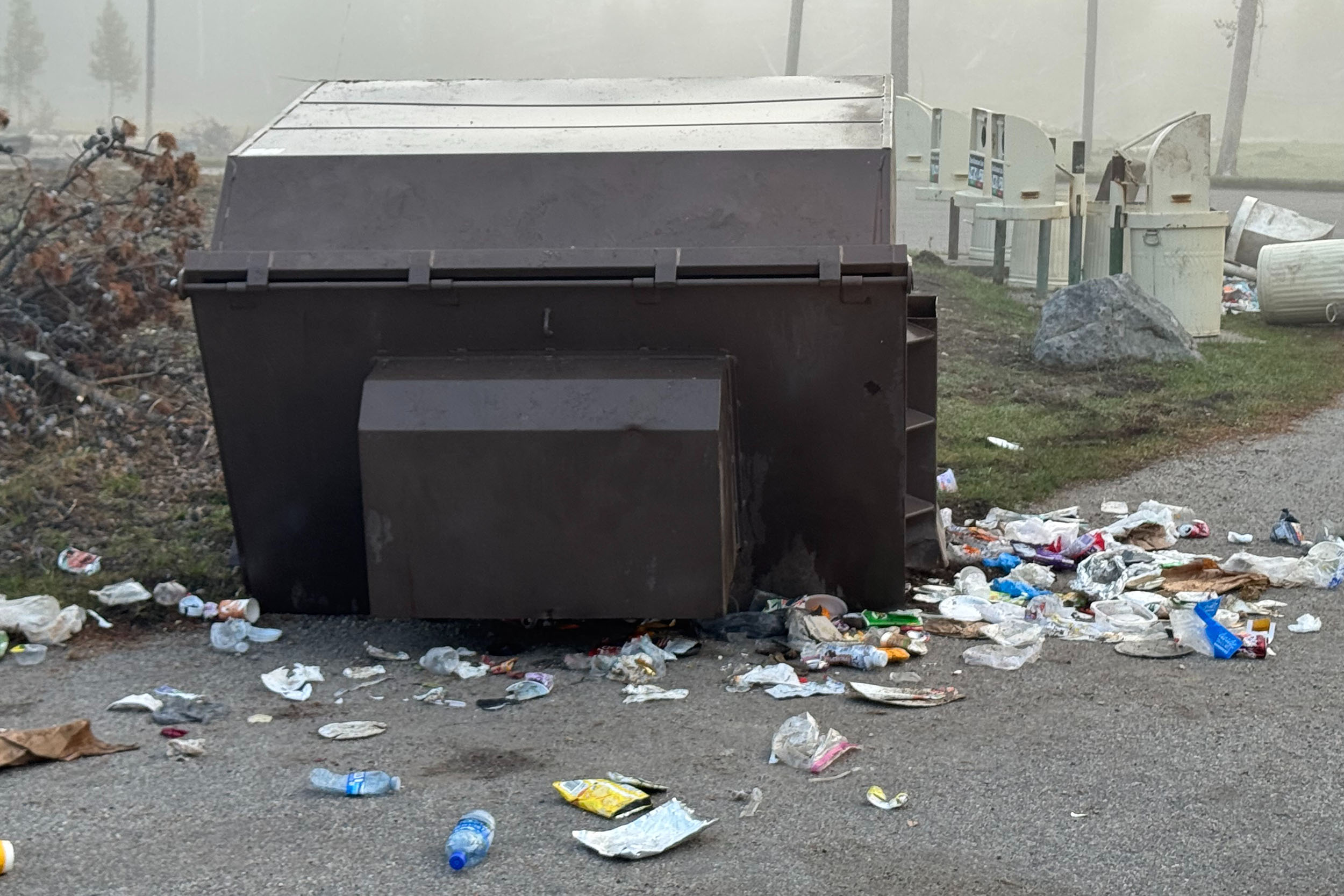 Yellowstone Bear Dumpster