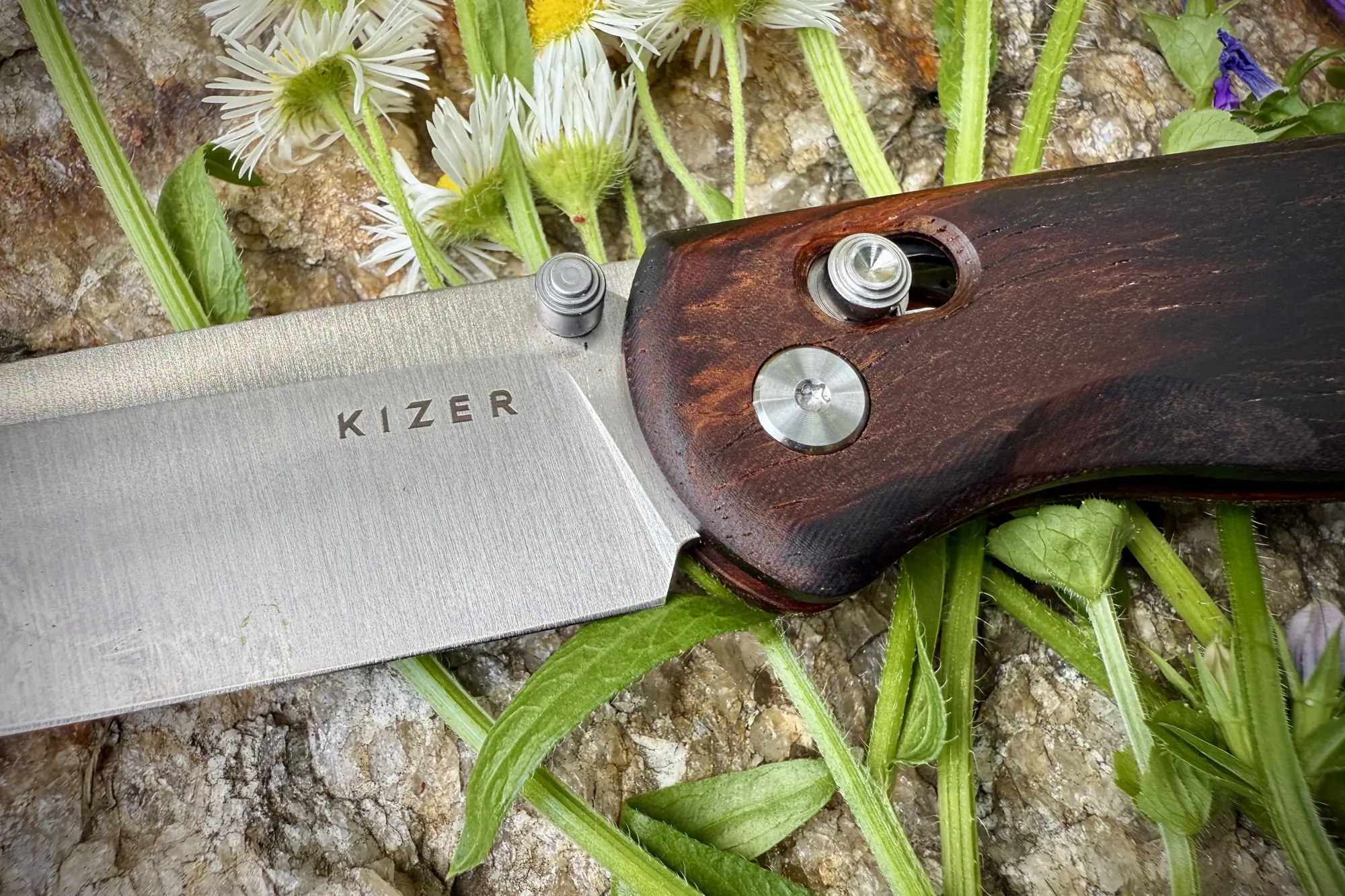 Kizer Drop Bear knife closeup