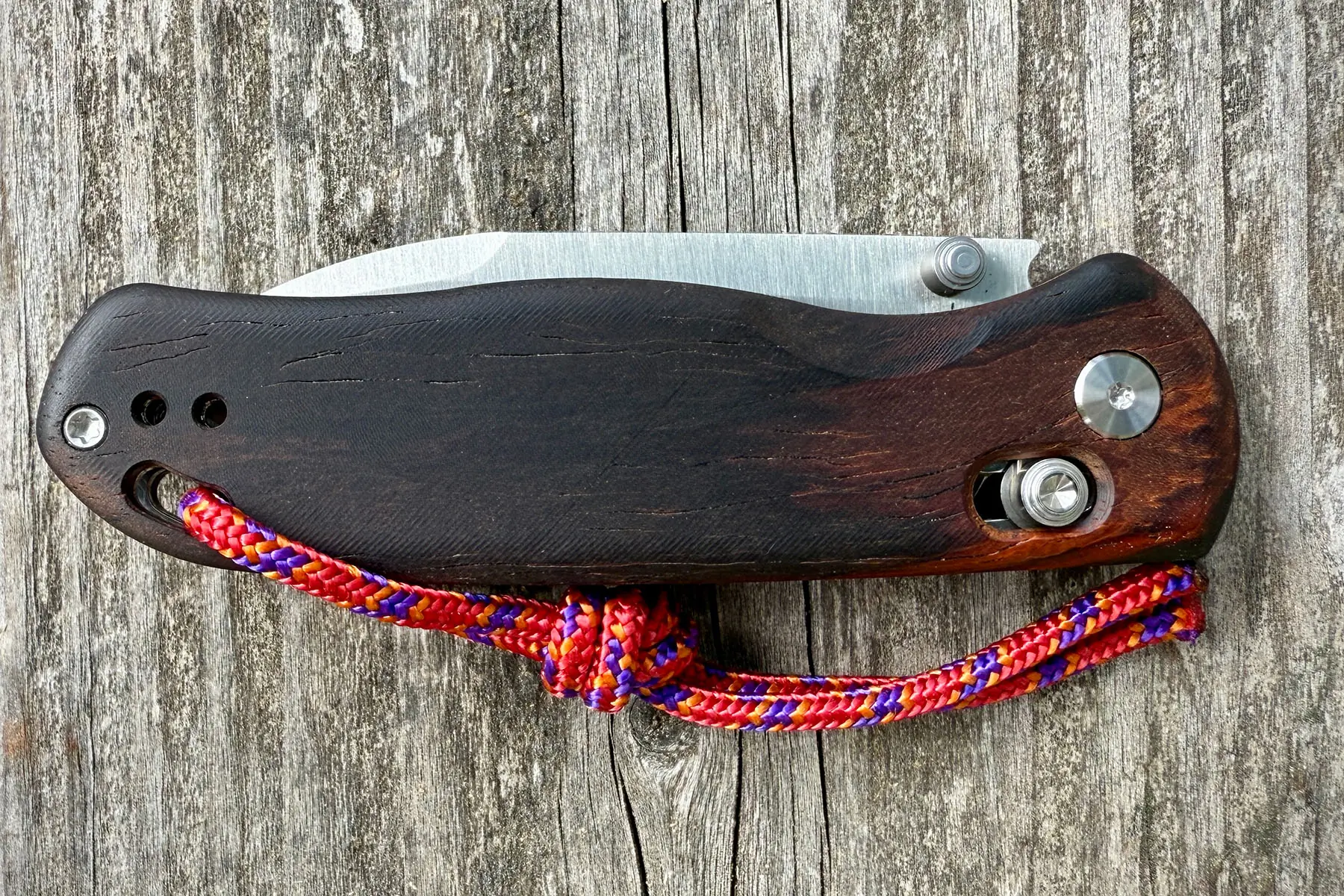 kizer drop bear knife folded closed