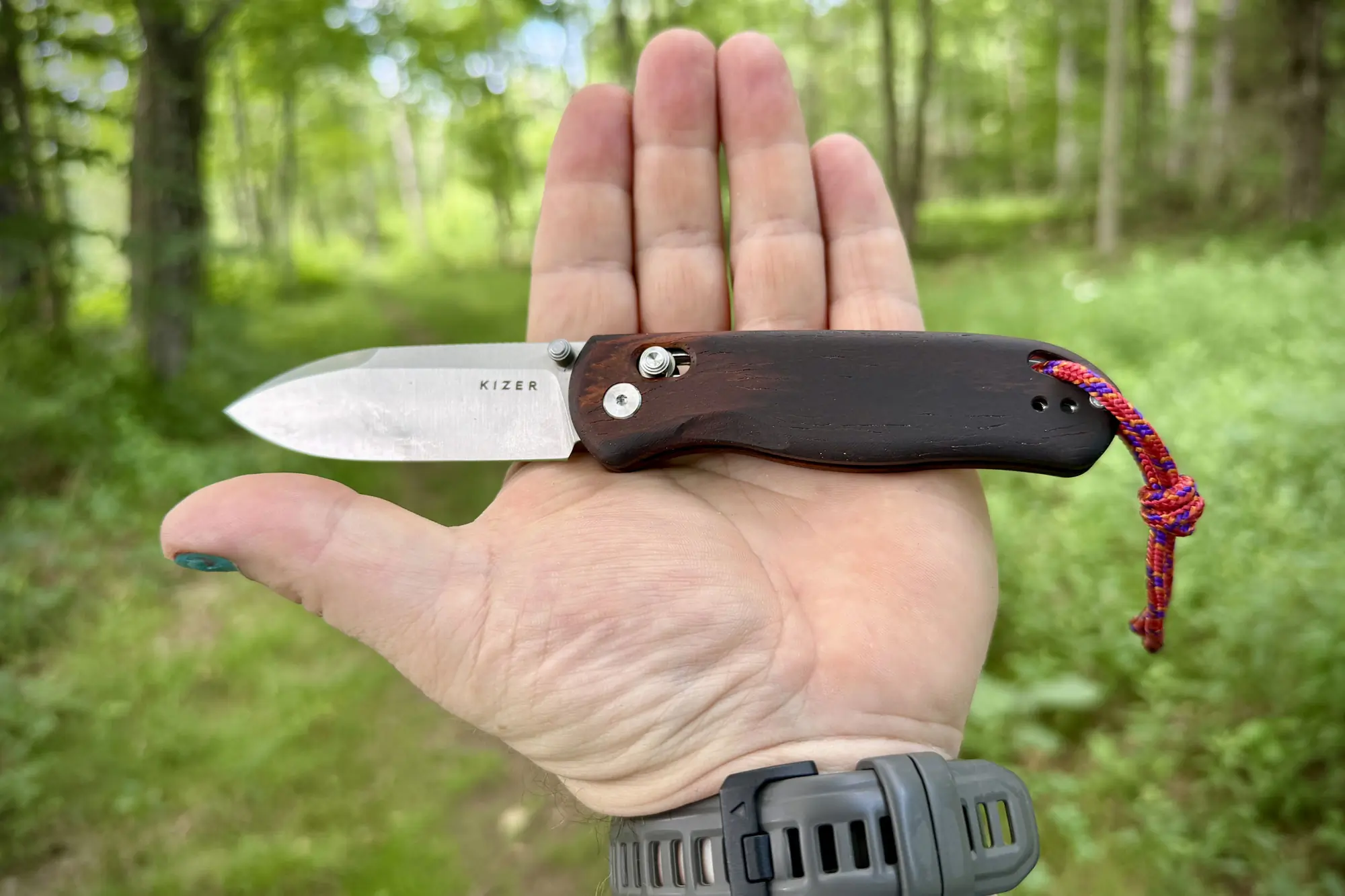 The Drop Bear in a hand