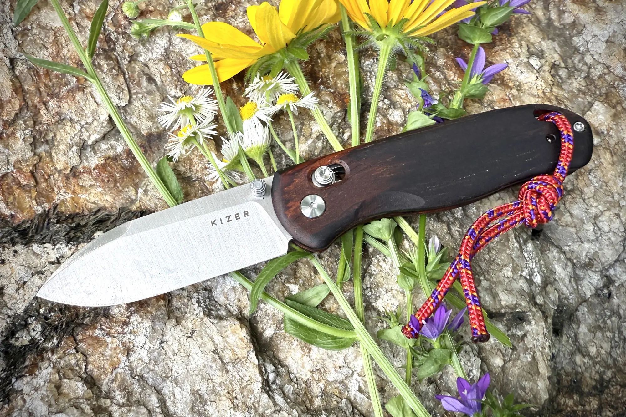 Worthy of a Cult Following: Kizer Drop Bear Review
