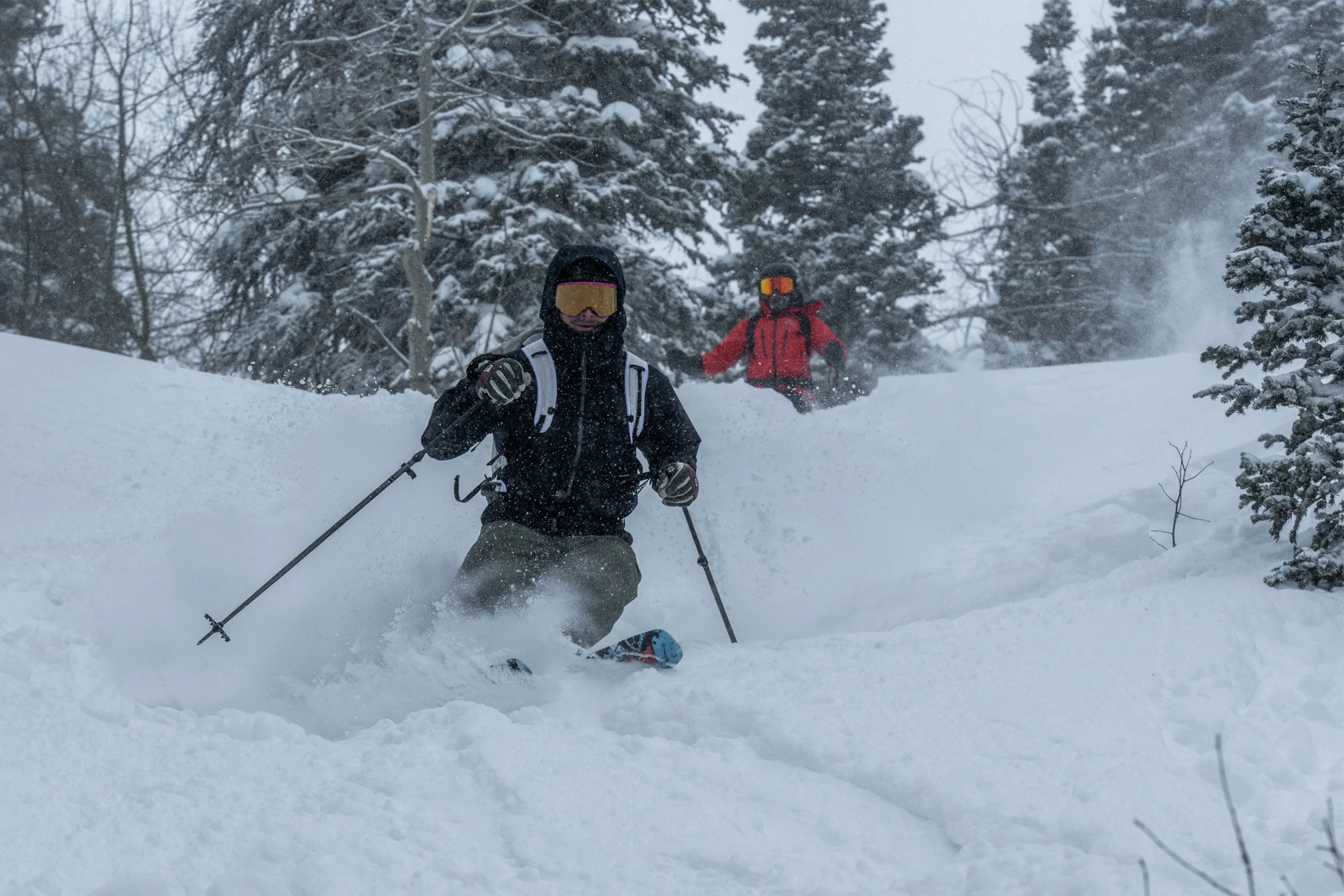 Atomic backland ski poles