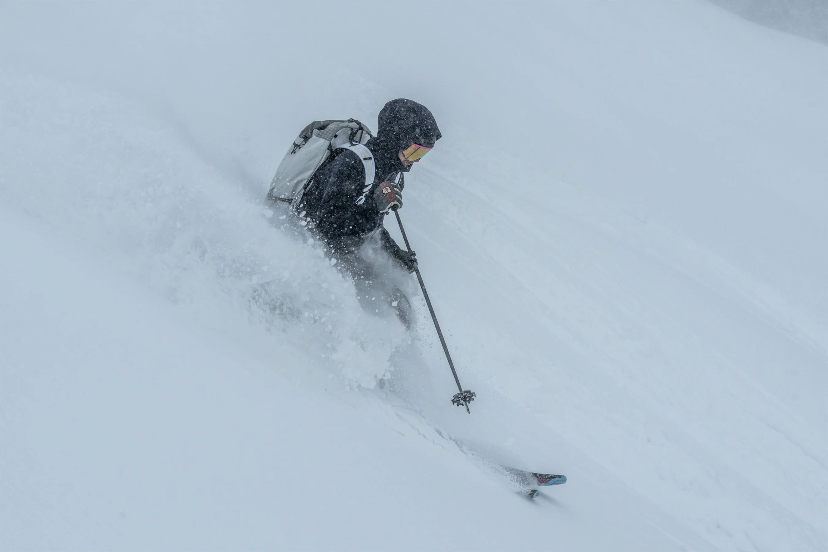 Atomic backland ski poles