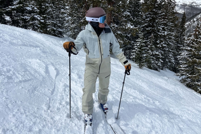 Atomic backland ski poles