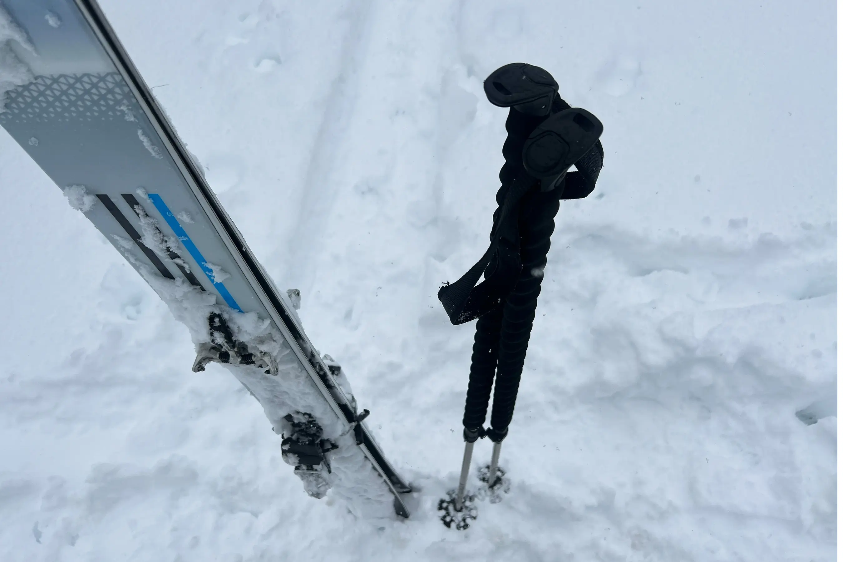 Folkrm Pahto Ski Pole