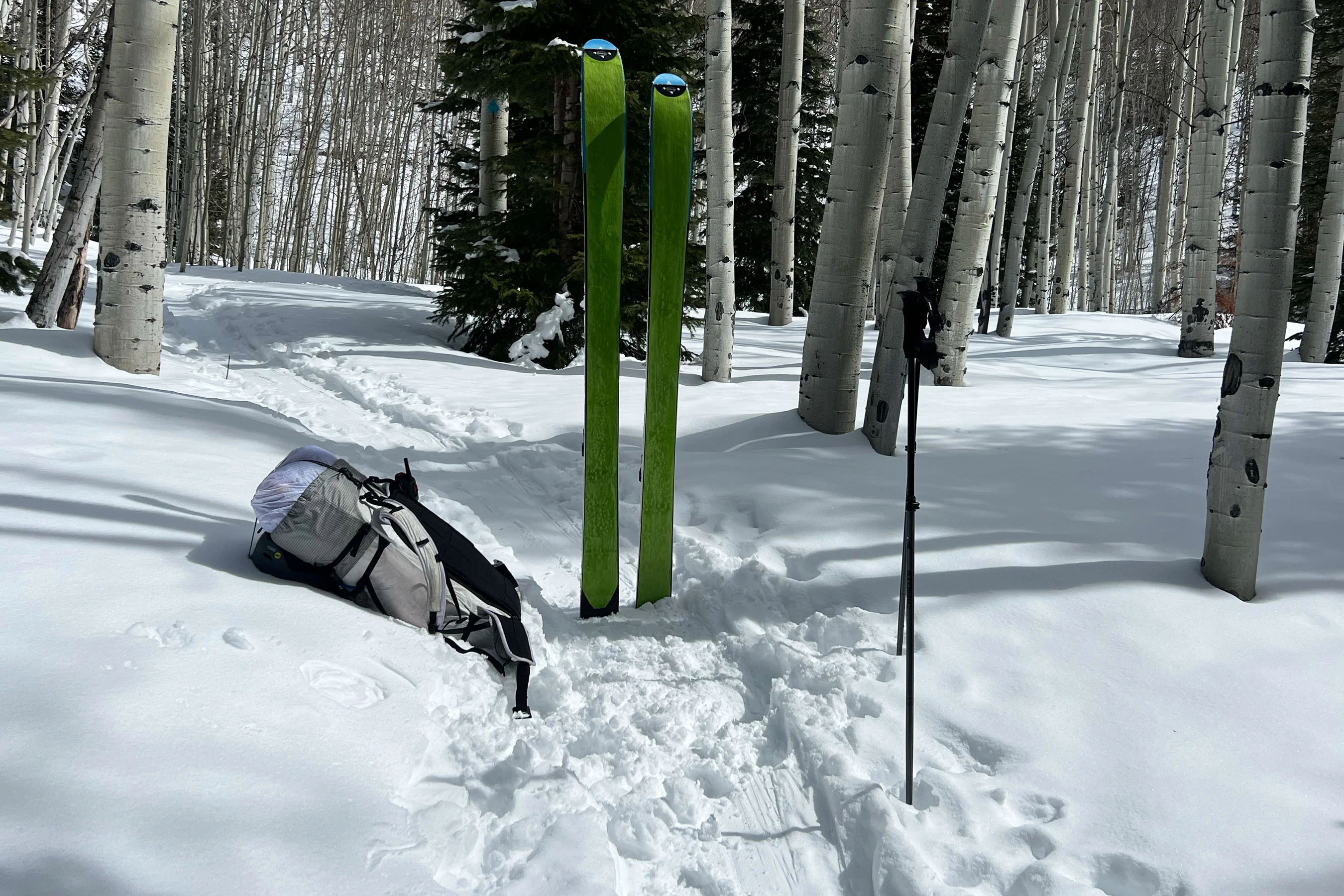Atomic backland ski poles