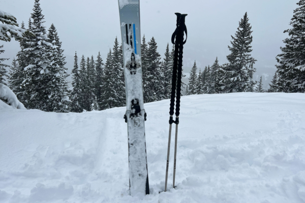 Half Grip, Full Send: Folkrm Pahto Ski Poles Review