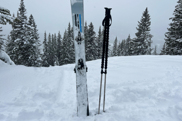 Folkrm Pahto Ski Pole