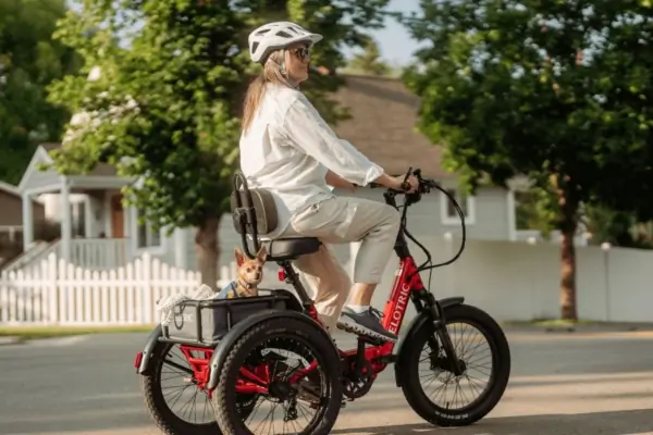 Ultrathin Power Banks, THC Drink Packets, Dog-Friendly Carry-Ons, and More Emerging Gear