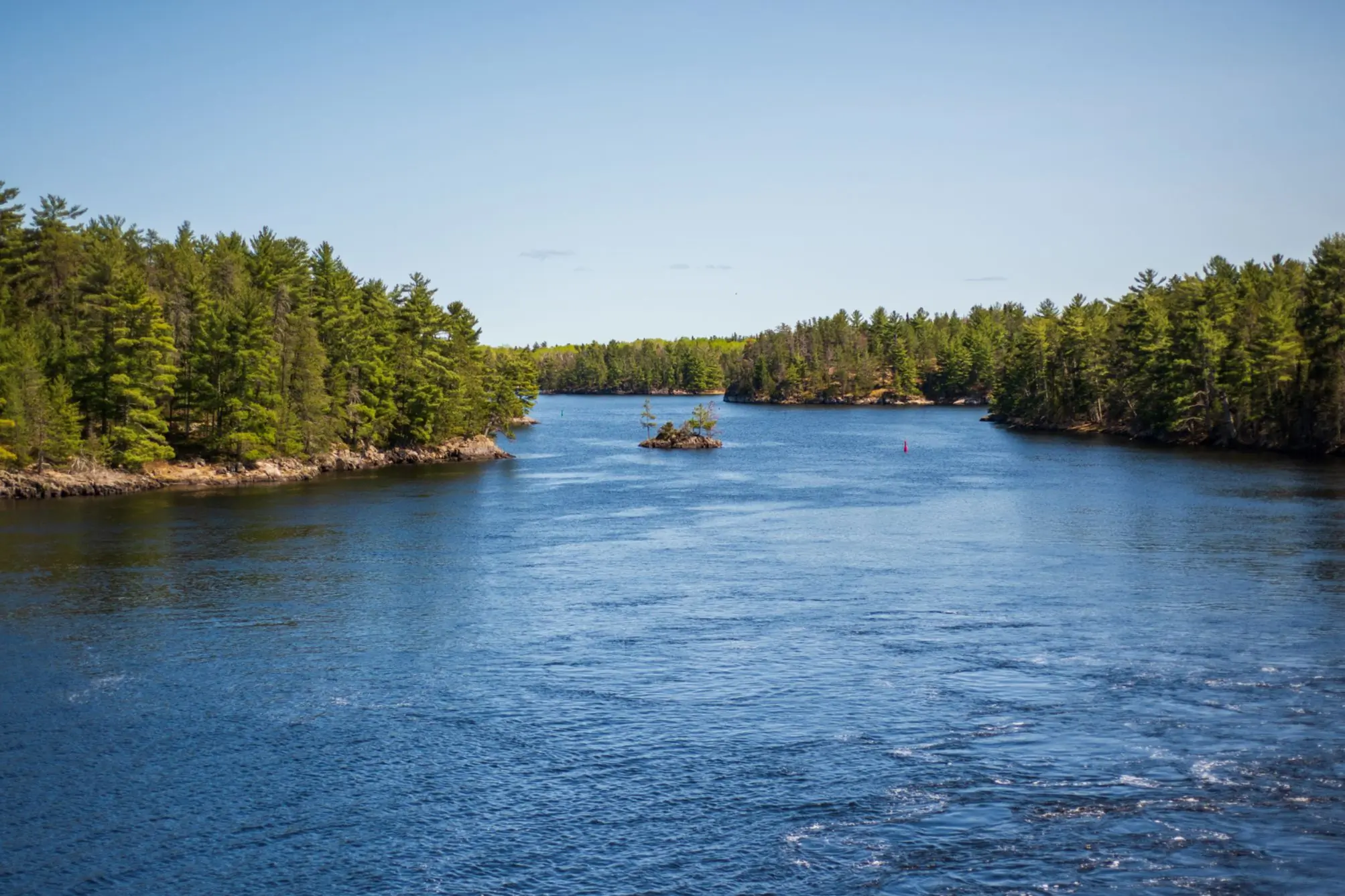 View of water surrounded by forests on both sides
