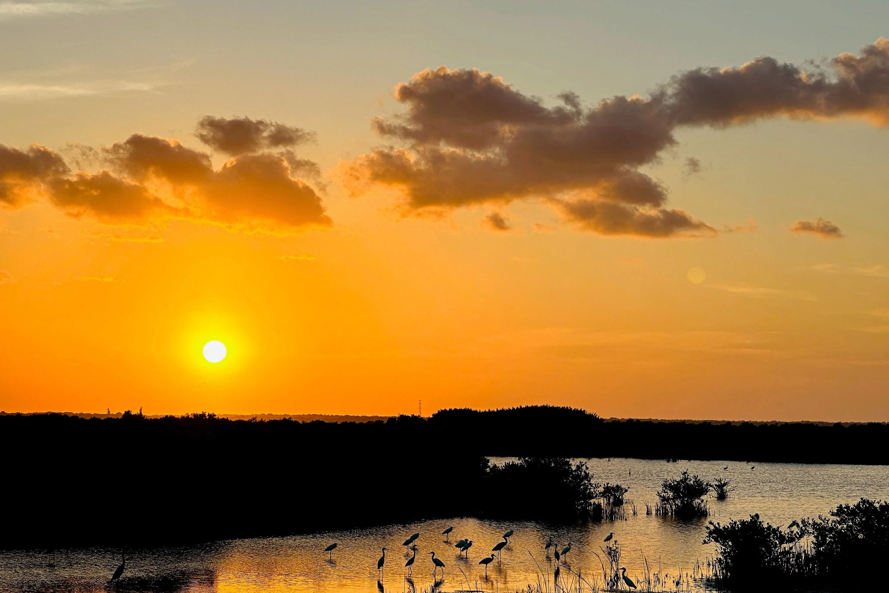 sunrise at canaveral national seashore