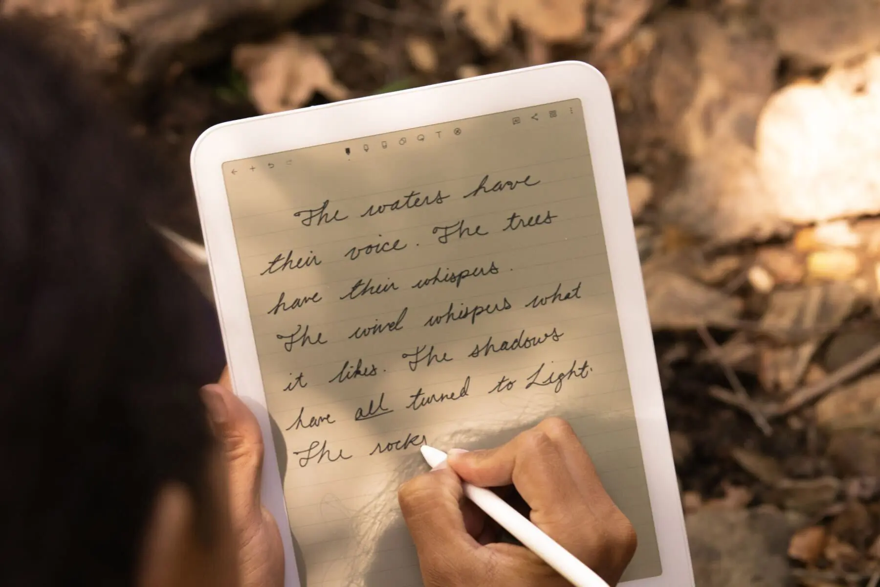 writing on daylight computer dc-1